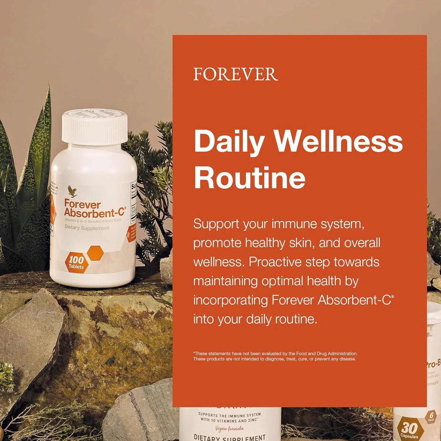 Forever Living Products Vitamin C Chewable Tablets - 100 Forever Living Products Vitamin C Chewable Tablets - 100