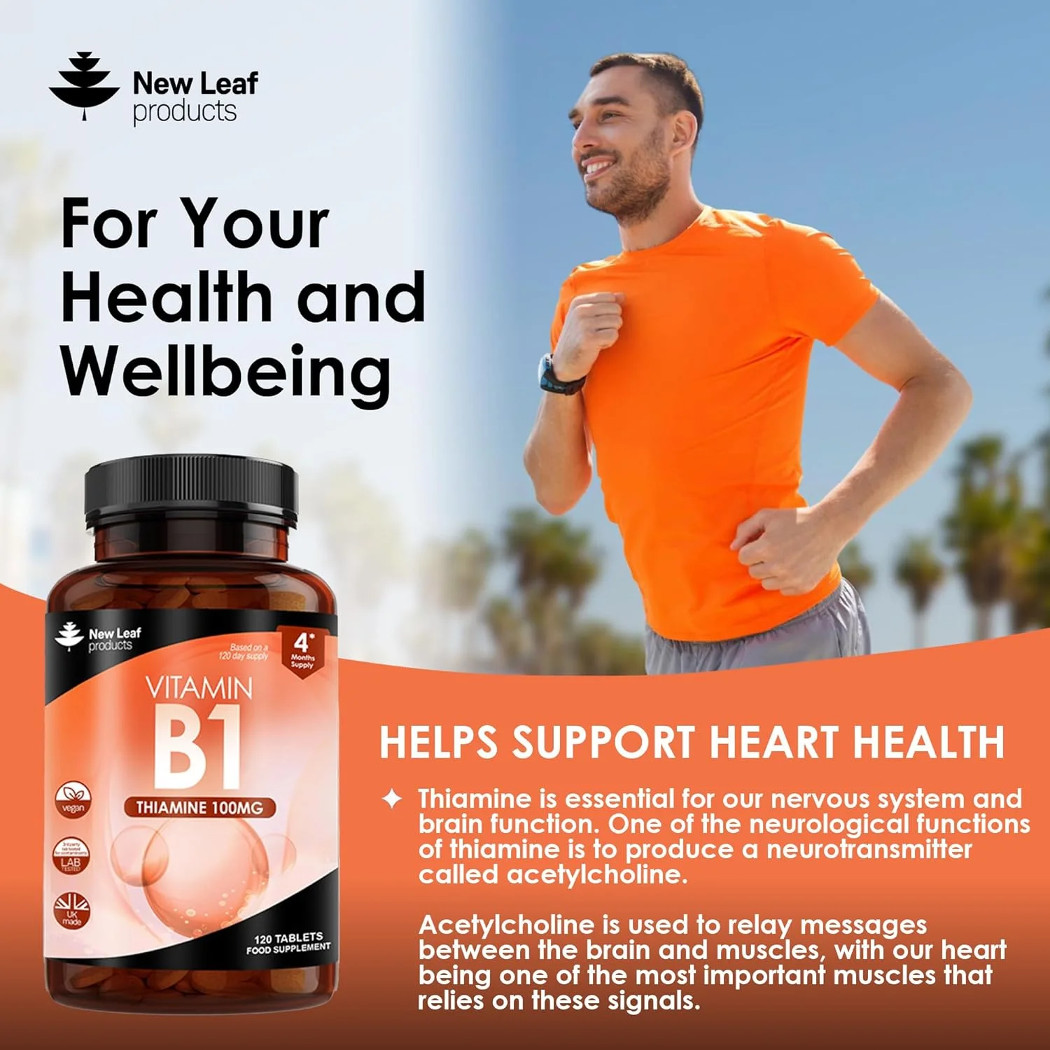 Vitamin B1 Thiamine Supplement 100mg (4 Months Value Supply) Thiamine Vitamin B1 High Strength – Heart Health, Healthy Nervous System, Immune Health, Energy Release Vegan, Gluten-Free, UK,120 Tablets Vitamin B1 Thiamine Supplement 100mg (4 Months Value Supply) Thiamine Vitamin B1 High Strength – Heart Health, Healthy Nervous System, Immune Health, Energy Release Vegan, Gluten-Free, UK,120 Tablets