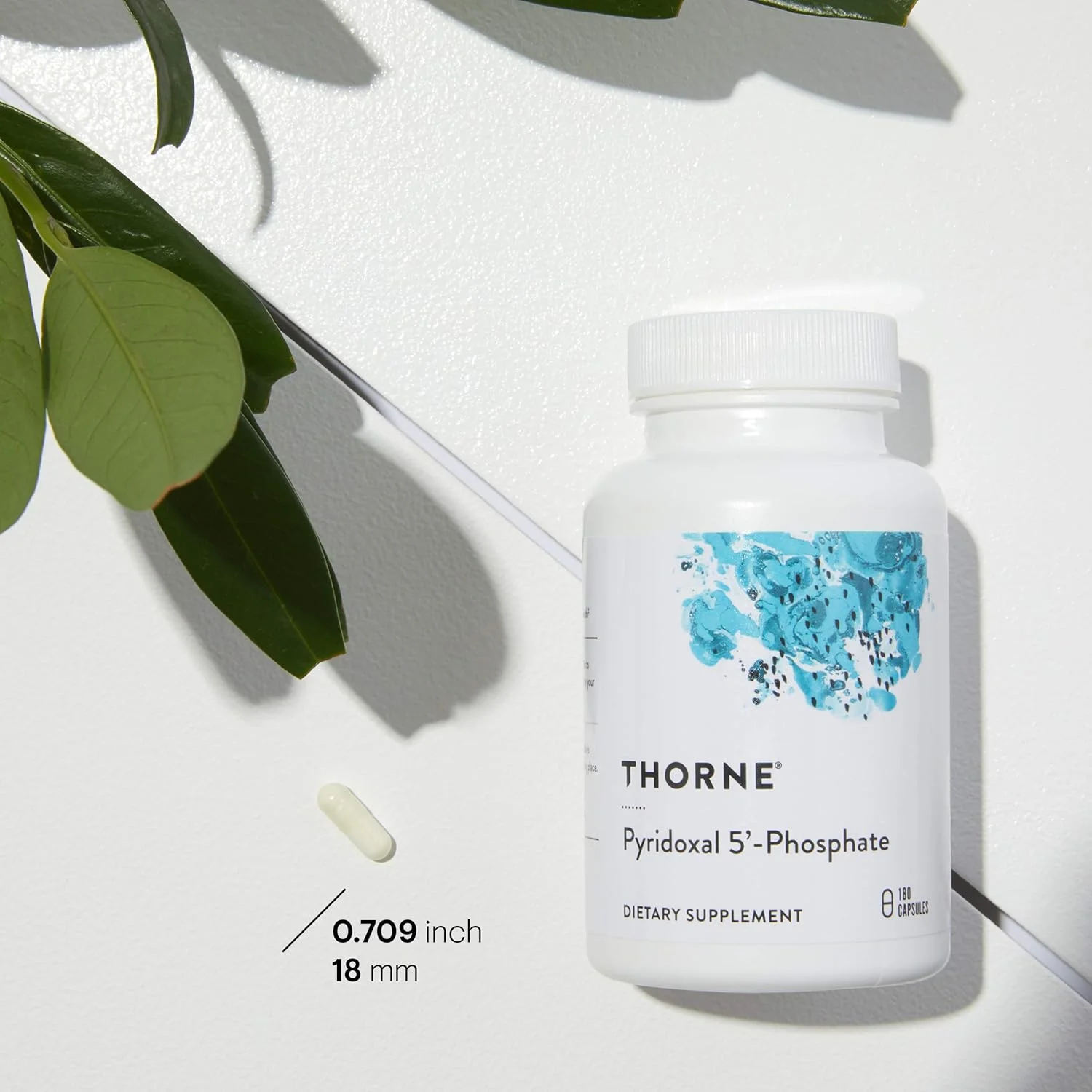 THORNE پیریدوکسال 5'-فسفات - مکمل ویتامین B6 فعال زیستی (پیریدوکسین) برای تولید انرژی و سنتز انتقال دهنده های عصبی - 180 کپسول THORNE پیریدوکسال 5'-فسفات - مکمل ویتامین B6 فعال زیستی (پیریدوکسین) برای تولید انرژی و سنتز انتقال دهنده های عصبی - 180 کپسول