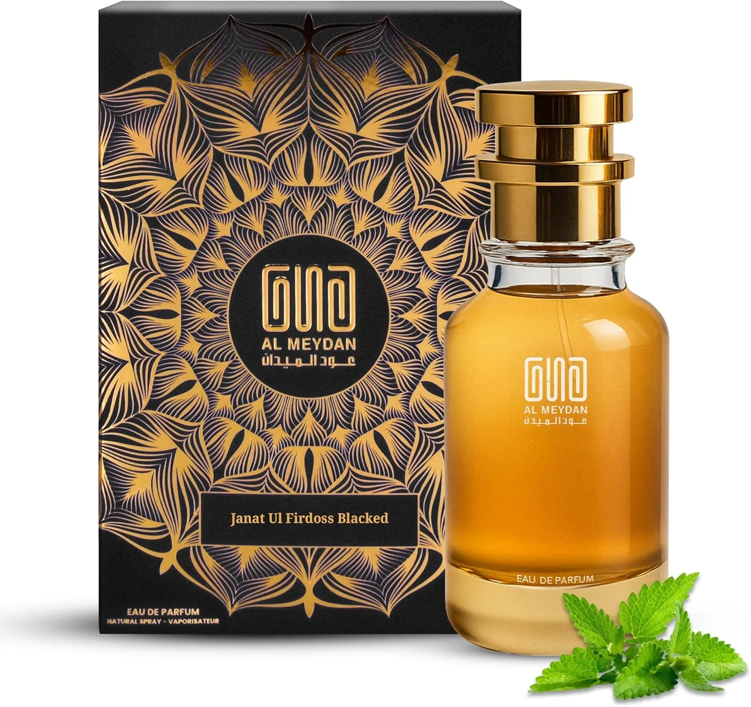 Oud Al Meydan Oil Based Perfume for Women – Impression of Janat Ul Firdoss Blacked – Alcohol-Free Oriental Floral Perfume Oil with Herbal, Rose & Jasmine – Long Lasting 8–10 Hours (100 ML)