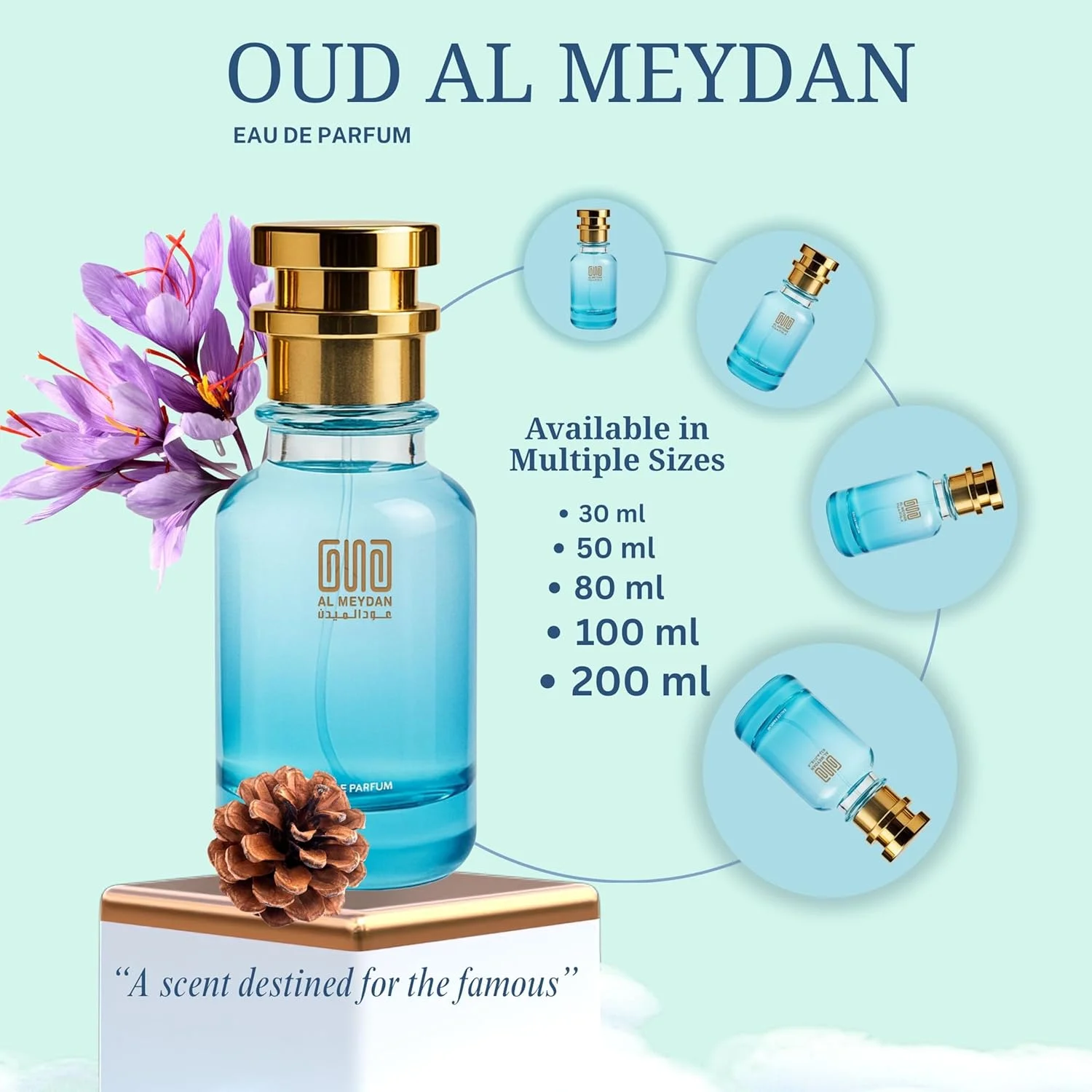 Oud Al Meydan Oil-Based Perfume Women & Men – Impression of Abraaj – Alcohol-Free, 10+ Hr Long-Lasting Woody Chypre Oriental Scent with Notes of Bergamot, Red Rose, Jasmine & Oud (200 ML)