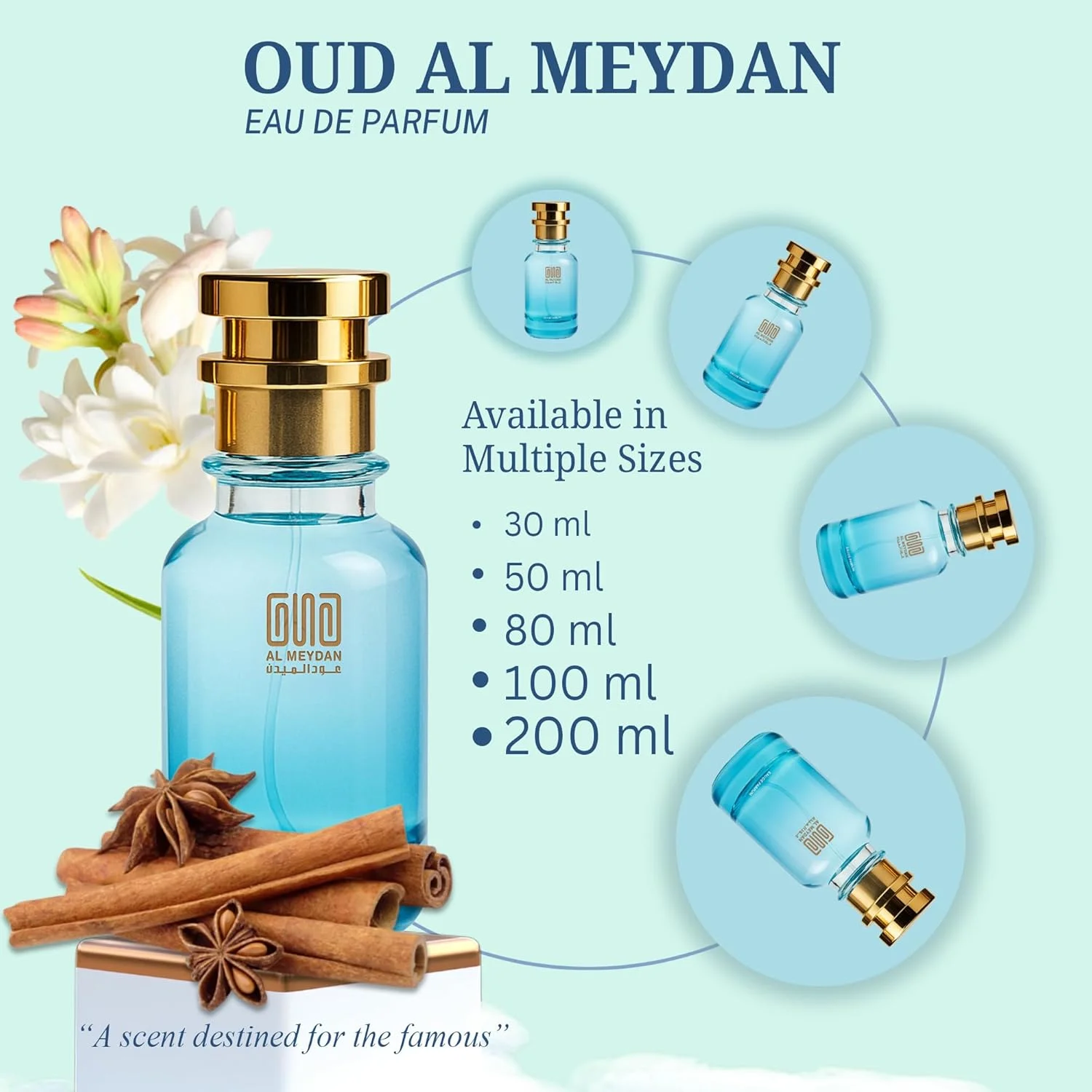 عطر روغنی عود المیدان زنانه – الهام گرفته از پویزن – عطر روغنی بدون الکل با رایحه آلو، گل مریم و وانیل – ماندگاری طولانی، جسورانه و اغوا کننده (30 میلی لیتر) عطر روغنی عود المیدان زنانه – الهام گرفته از پویزن – عطر روغنی بدون الکل با رایحه آلو، گل مریم و وانیل – ماندگاری طولانی، جسورانه و اغوا کننده (30 میلی لیتر)