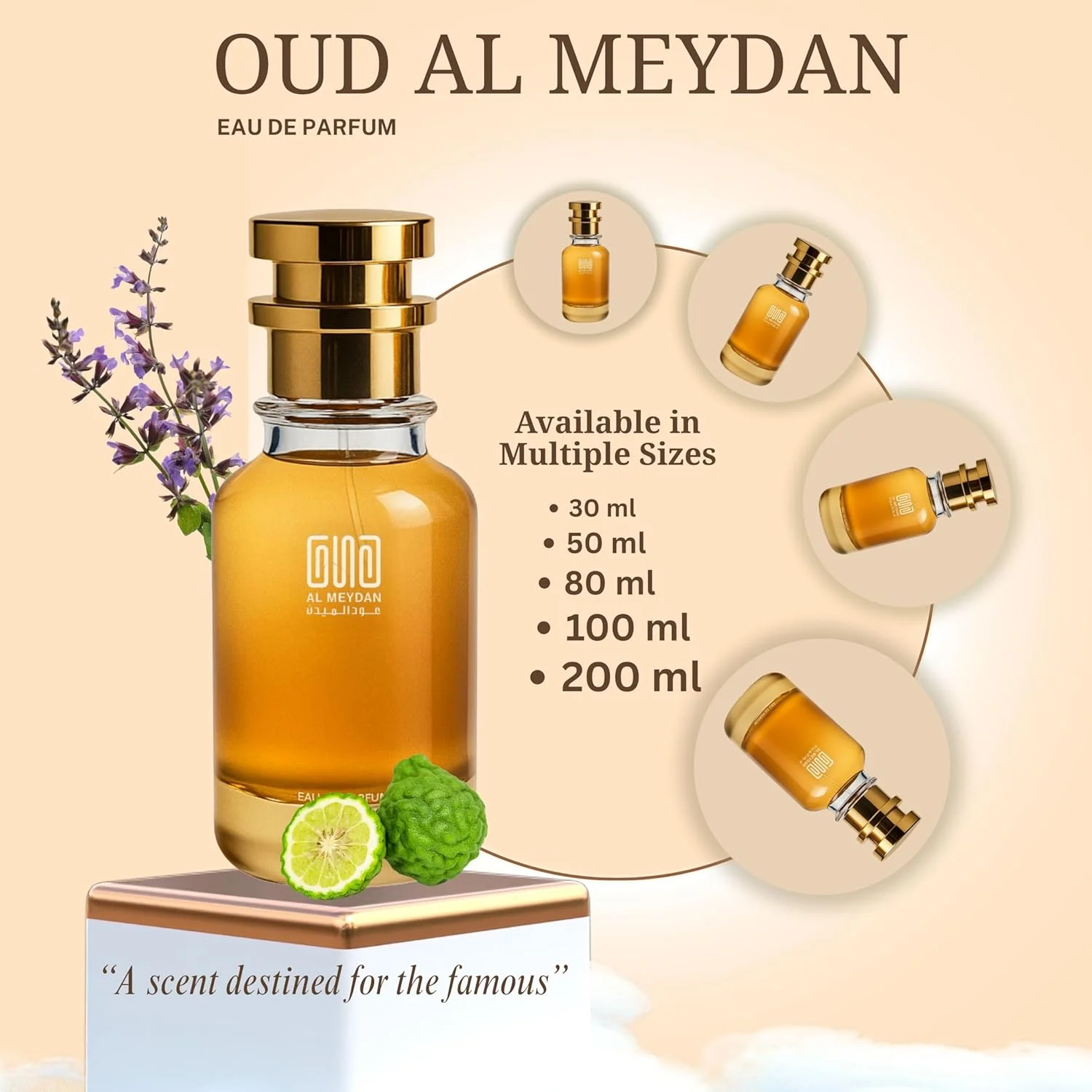 عطر روغنی عود المیدان – الهام گرفته از Teempo Eauu de Perfum – بدون الکل، رایحه معطر نعناع هندی چوبی با ته مایه های مرکباتی تند و تازه – رایحه ماندگار برای آقایان و بانوان (50 میلی لیتر)