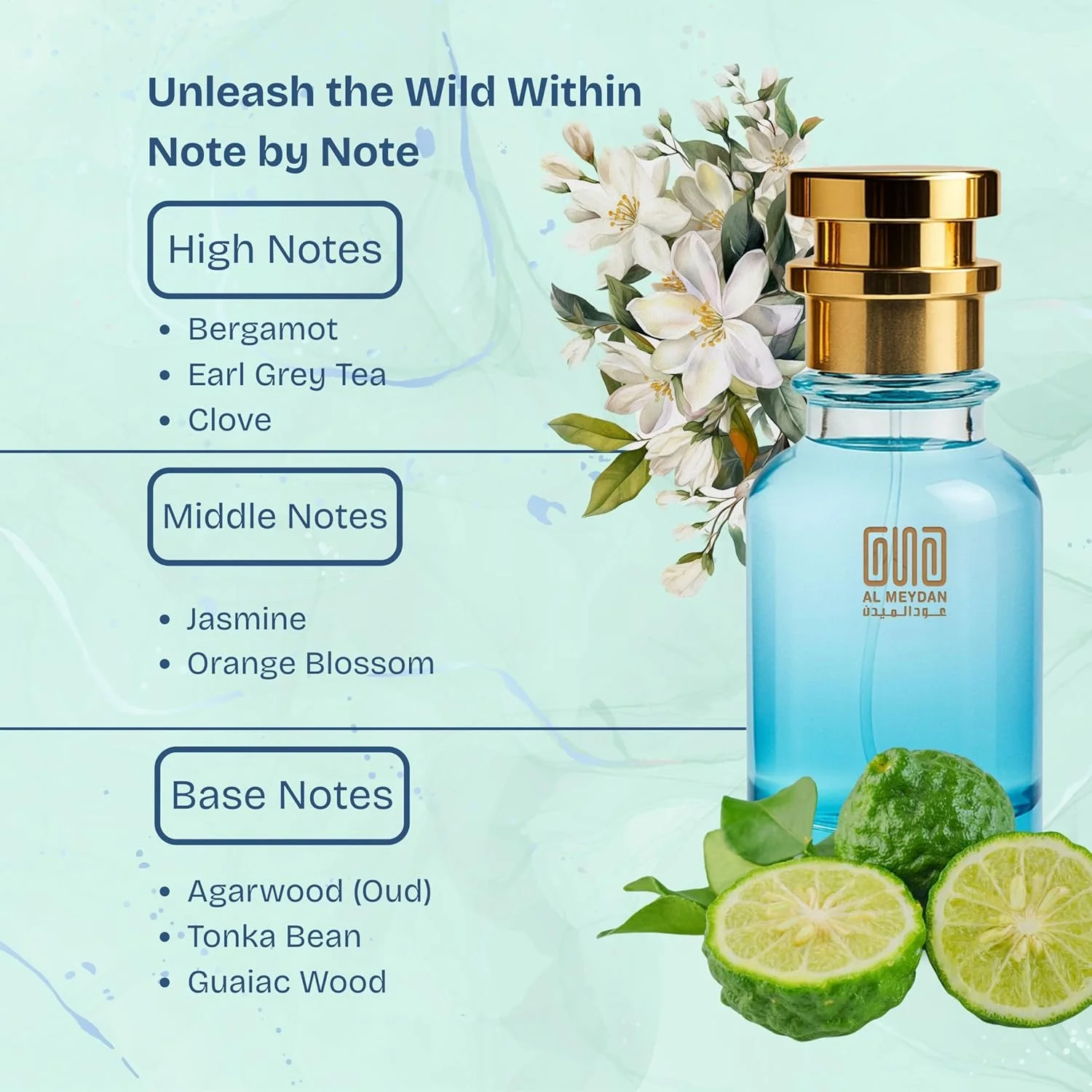 عطر روغنی زنانه عود المیدان – الهام گرفته از عطر عود سیو تا کویین، رایحه شرقی گلی با نت های چای، یاس و عود – بدون الکل – ماندگاری 8 ساعته برای ظرافت سلطنتی (80 میلی لیتر)