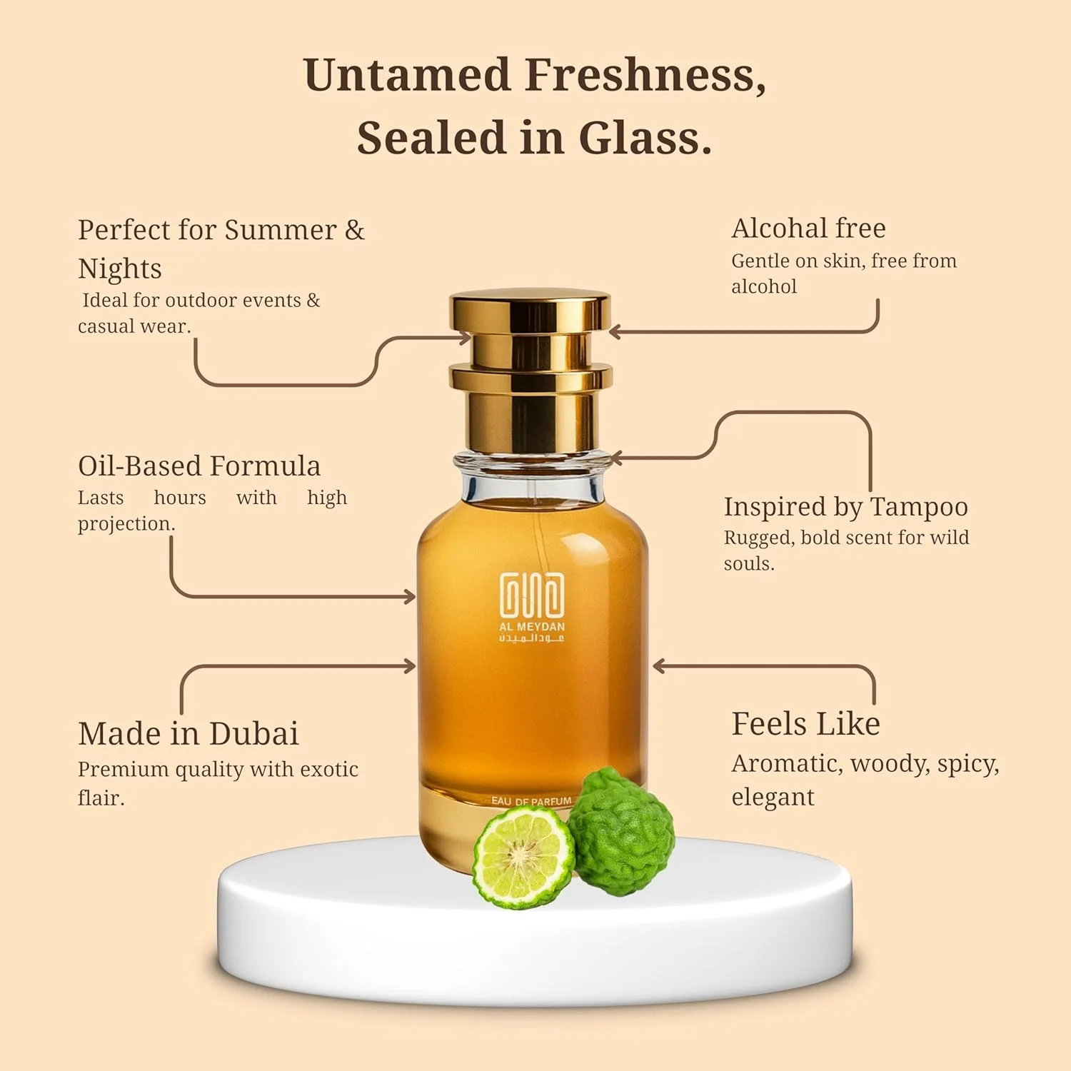 عطر روغنی عود المیدان – الهام گرفته از Teempo Eauu de Perfum – بدون الکل، رایحه معطر نعناع هندی چوبی با ته مایه های مرکباتی تند و تازه – رایحه ماندگار برای آقایان و بانوان (50 میلی لیتر)