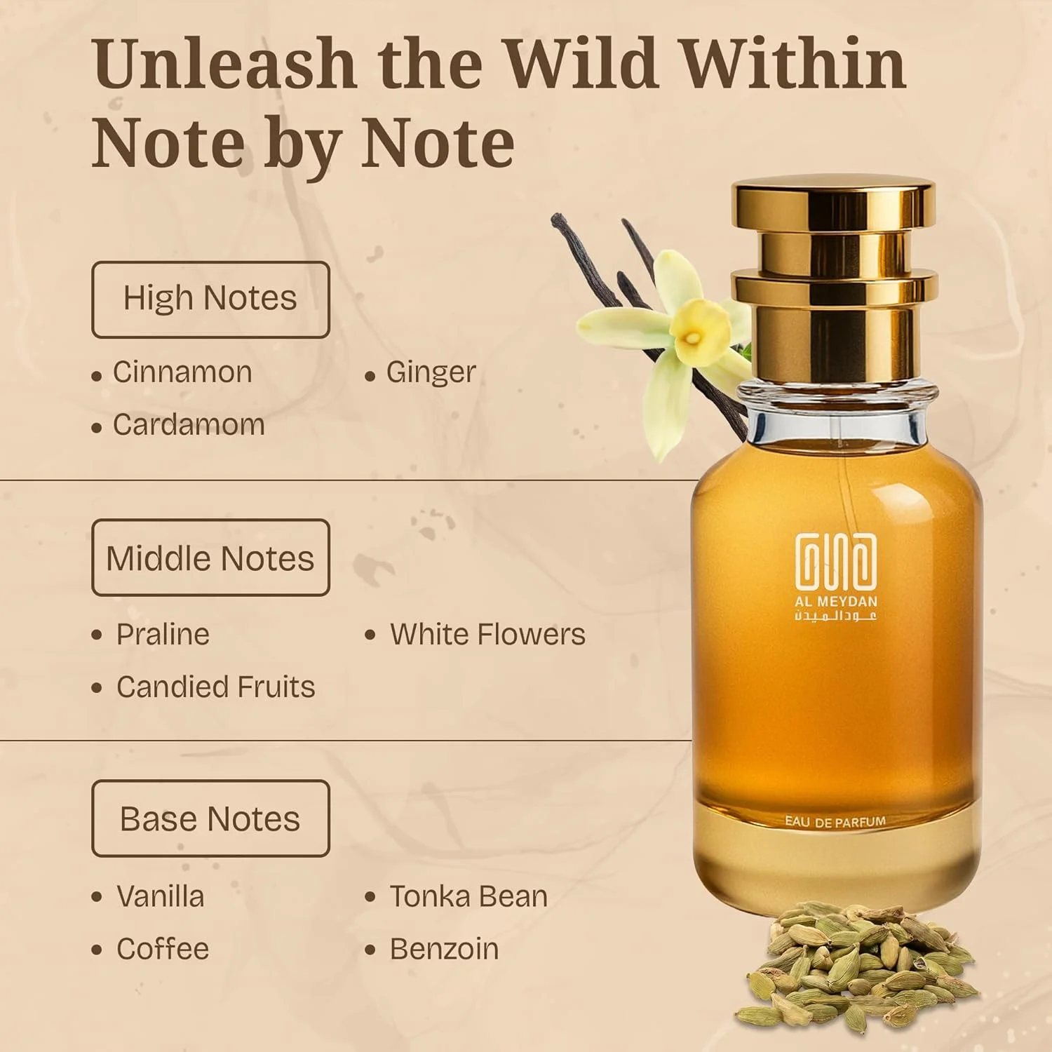 عطر روغنی عود المیدان زنانه و مردانه – الهام گرفته از قمره کهوه – عطر گورمند بدون الکل با دارچین، قهوه و وانیل – ماندگاری طولانی 9-11 ساعت (30 میلی لیتر) عطر روغنی عود المیدان زنانه و مردانه – الهام گرفته از قمره کهوه – عطر گورمند بدون الکل با دارچین، قهوه و وانیل – ماندگاری طولانی 9-11 ساعت (30 میلی لیتر)