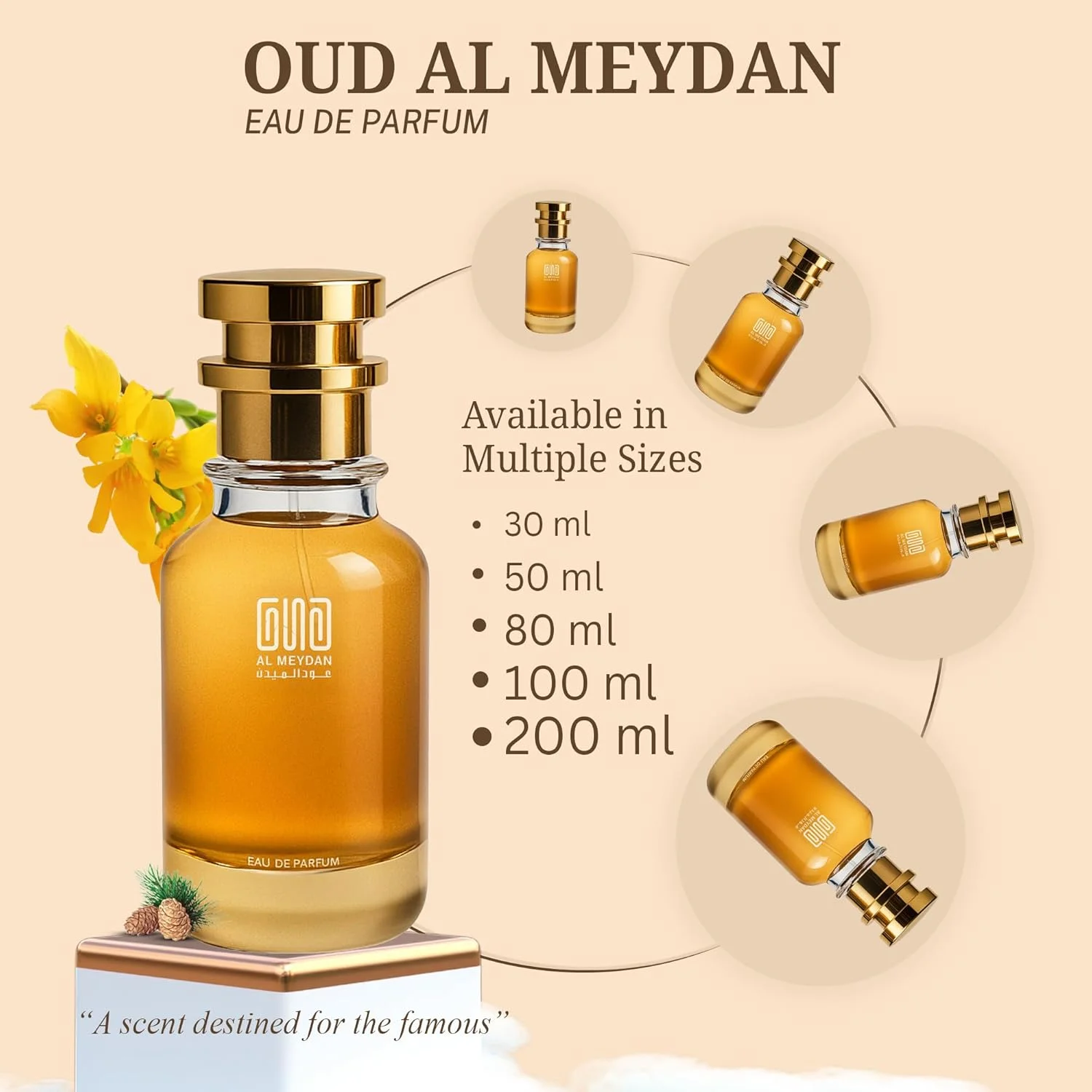 عطر روغنی عود المیدان زنانه و مردانه – رایحه ای از اینتنسد عود – عطر روغنی شرقی بدون الکل با ترنج، یلانگ و کارامل – ماندگاری طولانی 10-12 ساعت (200 میلی لیتر)