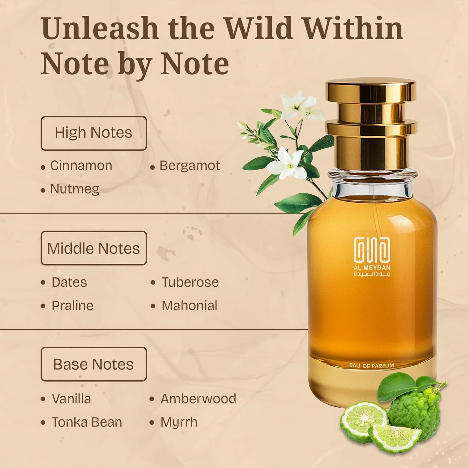 عطر روغنی عود المیدان المیدان مناسب برای زنان و مردان - الهام گرفته از قمره - عطر شیرین و تند با دارچین، خرما و وانیل - عطرهای ماندگار برای مردان و زنان (100 میلی لیتر)