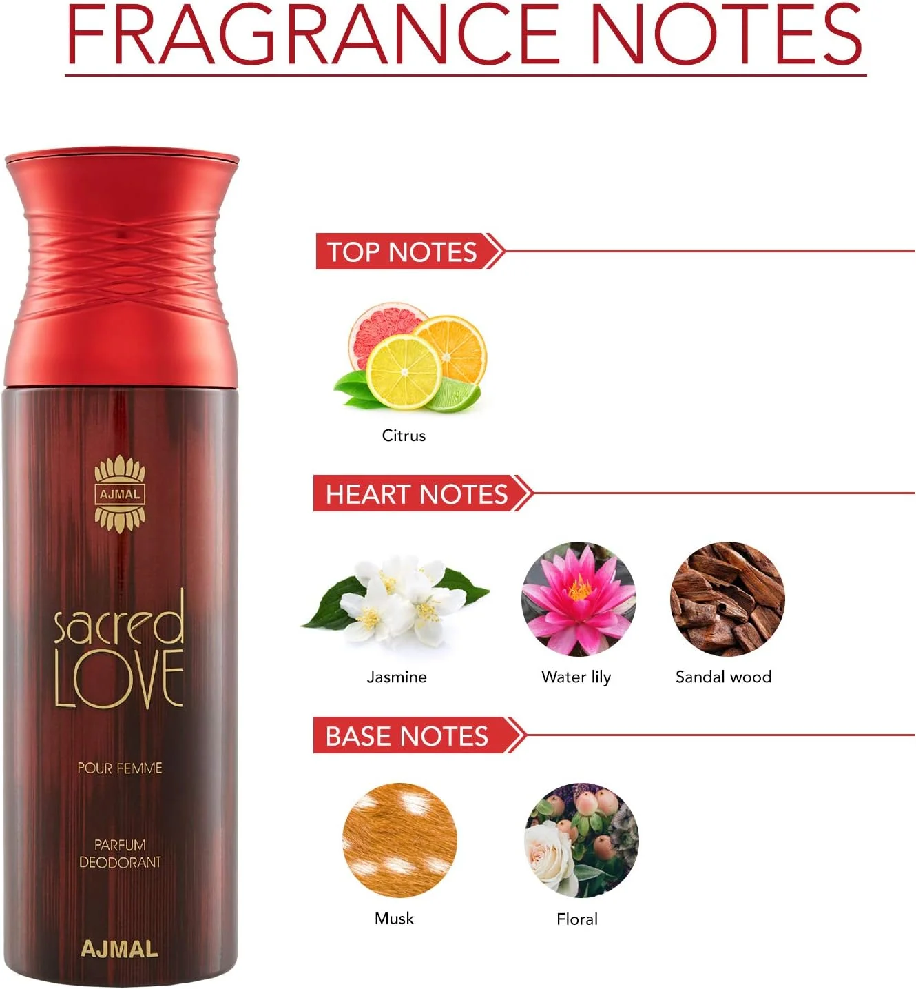 ادکلن مردانه ماریج دایرکشن ایست با رایحه مرکباتی و تند 100 میلی لیتر و دئودورانت زنانه اجمل ساکرد لاو با رایحه گلی و مشکی 200 میلی لیتر + 2 عدد تستر عطر رایگان