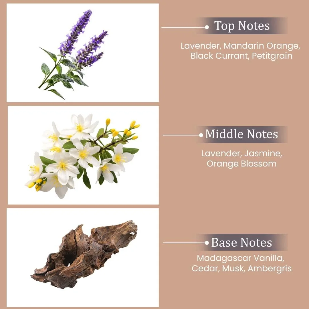 ادکلن زنانه لیبرتی بای سیمفونی، ادو پرفیوم، 100 میلی لیتر، الهام گرفته از Libre-YSL، عطر لوکس زنانه، رایحه گلی، ماندگاری بالا، پخش بوی قوی ادکلن زنانه لیبرتی بای سیمفونی، ادو پرفیوم، 100 میلی لیتر، الهام گرفته از Libre-YSL، عطر لوکس زنانه، رایحه گلی، ماندگاری بالا، پخش بوی قوی