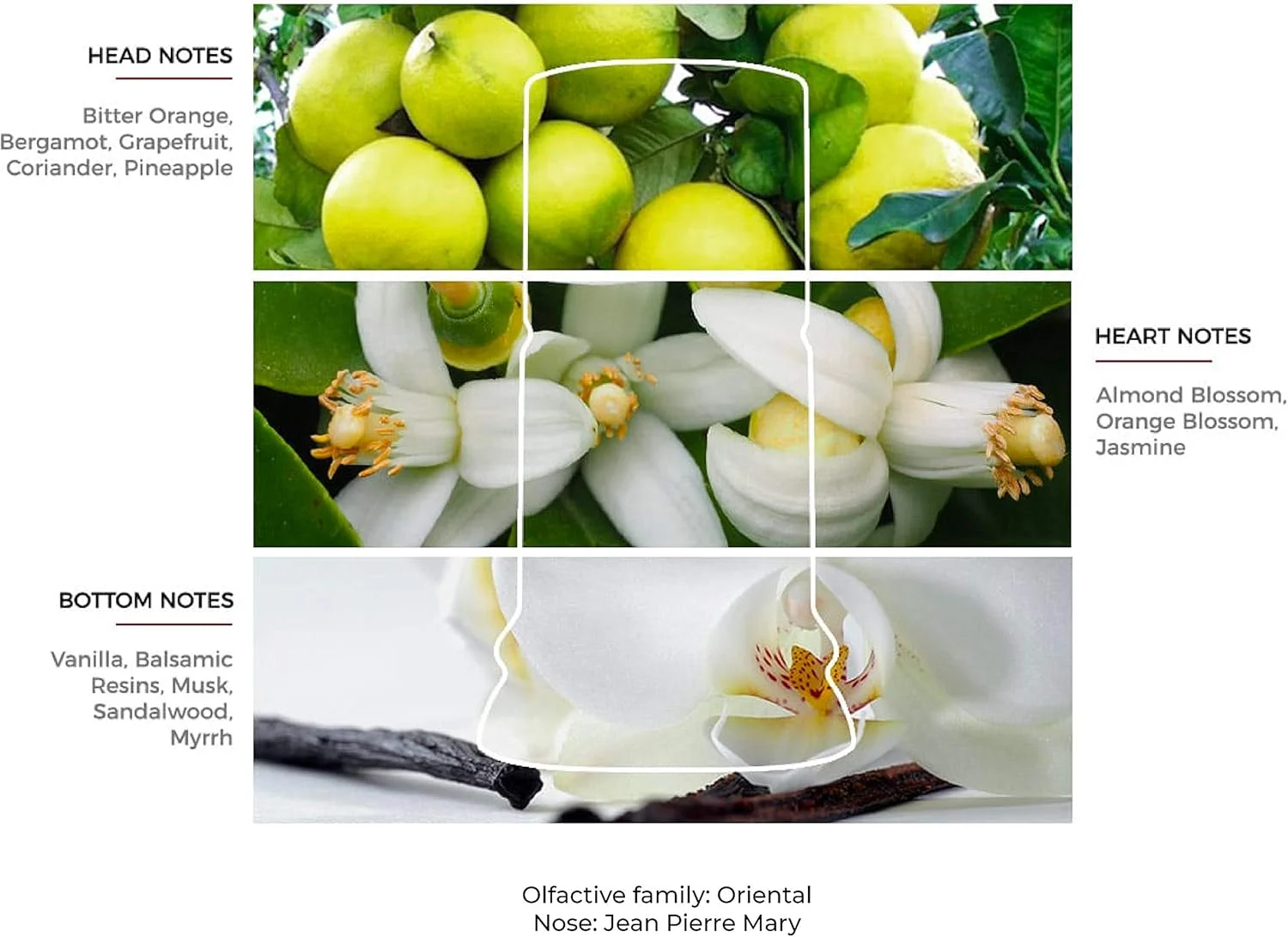 ادکلن زنانه لورا بیاجوتی روما دونا ادو تویلت 100 میلی لیتر ادکلن زنانه لورا بیاجوتی روما دونا ادو تویلت 100 میلی لیتر