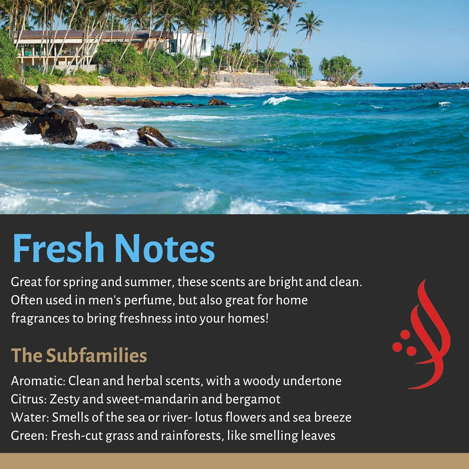 ادکلن 100 میل فخامه از الحنیدی از شرکت آل پرفیومز | عطری ماندگار برای آقایان و بانوان با رایحه ای روشن و اعتیادآور | ادو پرفیوم - ساخت شرکت شیخ محمد سعید ادکلن 100 میل فخامه از الحنیدی از شرکت آل پرفیومز | عطری ماندگار برای آقایان و بانوان با رایحه ای روشن و اعتیادآور | ادو پرفیوم - ساخت شرکت شیخ محمد سعید