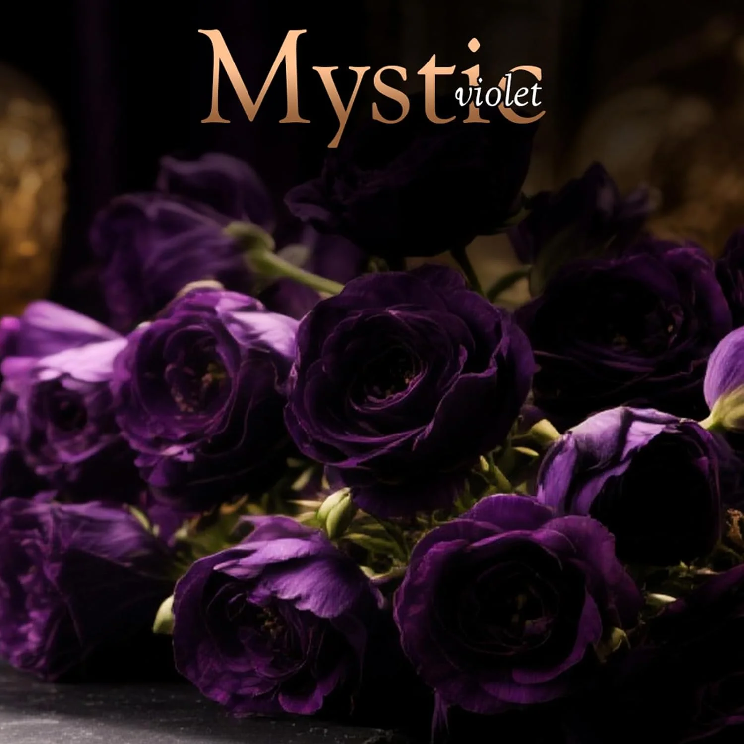 عطر زنانه فراس ات فراس Mystic Violet حجم 100 میل - ادو پرفیوم - رایحه کهربایی چوبی با وانیل، یاس و چوب صندل عطر زنانه فراس ات فراس Mystic Violet حجم 100 میل - ادو پرفیوم - رایحه کهربایی چوبی با وانیل، یاس و چوب صندل