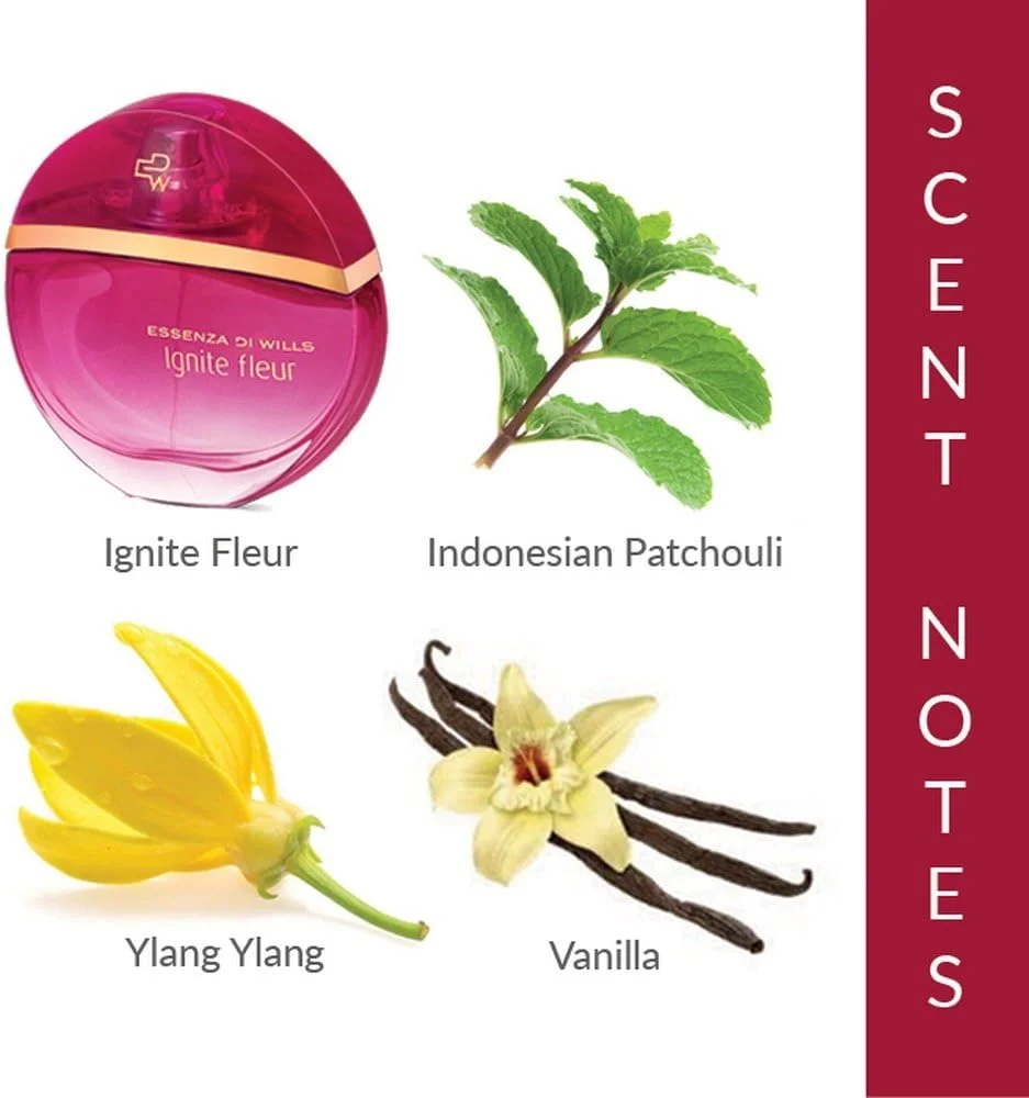 ادو تویلت زنانه لوکس Essenza Di Wills Ignite Fleur، ۶۰ میلی لیتر ادو تویلت زنانه لوکس Essenza Di Wills Ignite Fleur، ۶۰ میلی لیتر