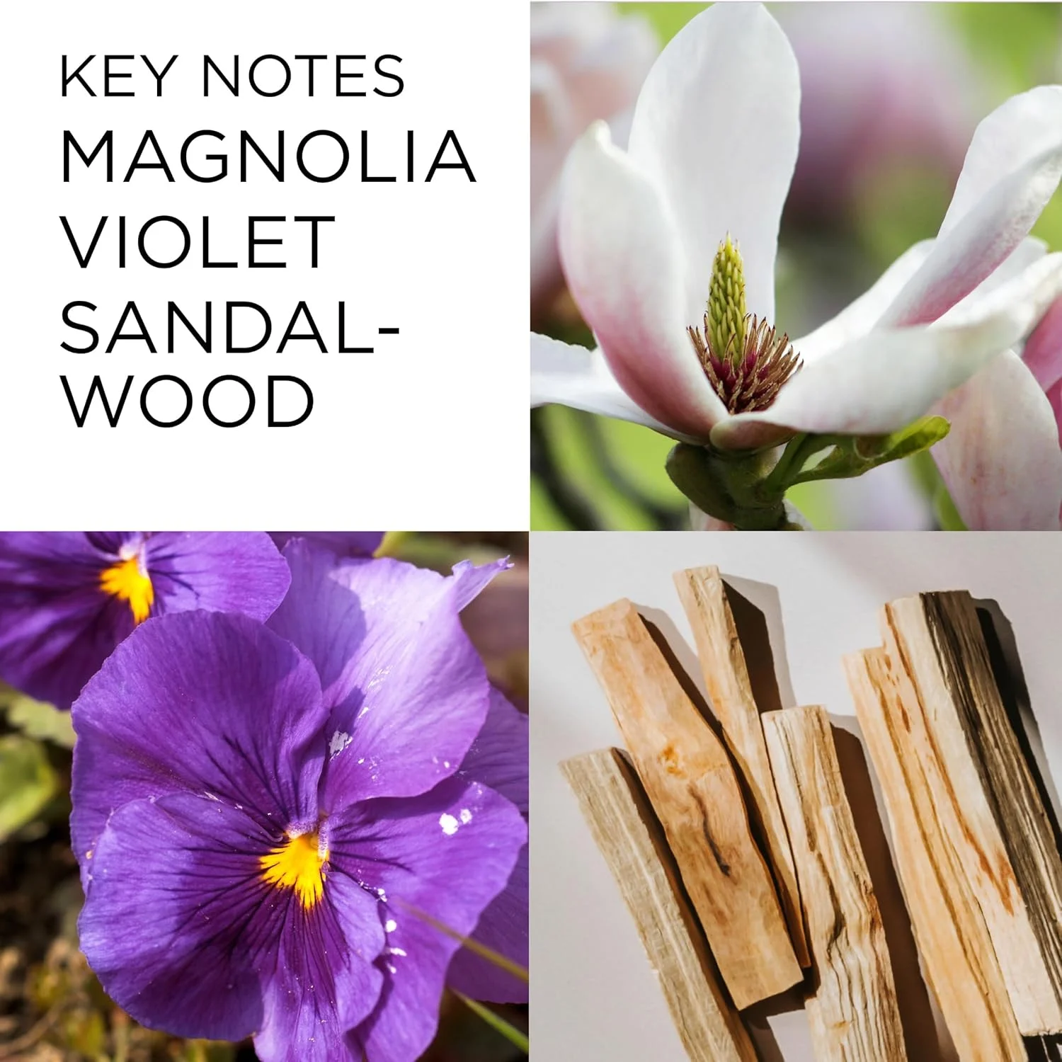 ادکلن زنانه الیزابت آردن فیفت اونیو ادو پرفیوم 30 میلی لیتر