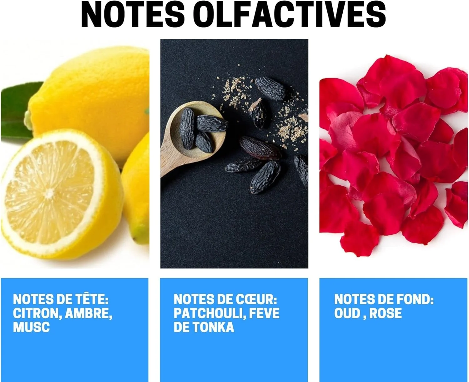 بادی میست معطر کشمیر بیزینس اسکوئر BS AYAT PERFUMES، 250 میلی لیتر - بادی میست با رایحه شرقی عربی برای آقایان و بانوان - ساخت دبی (کشمیر)