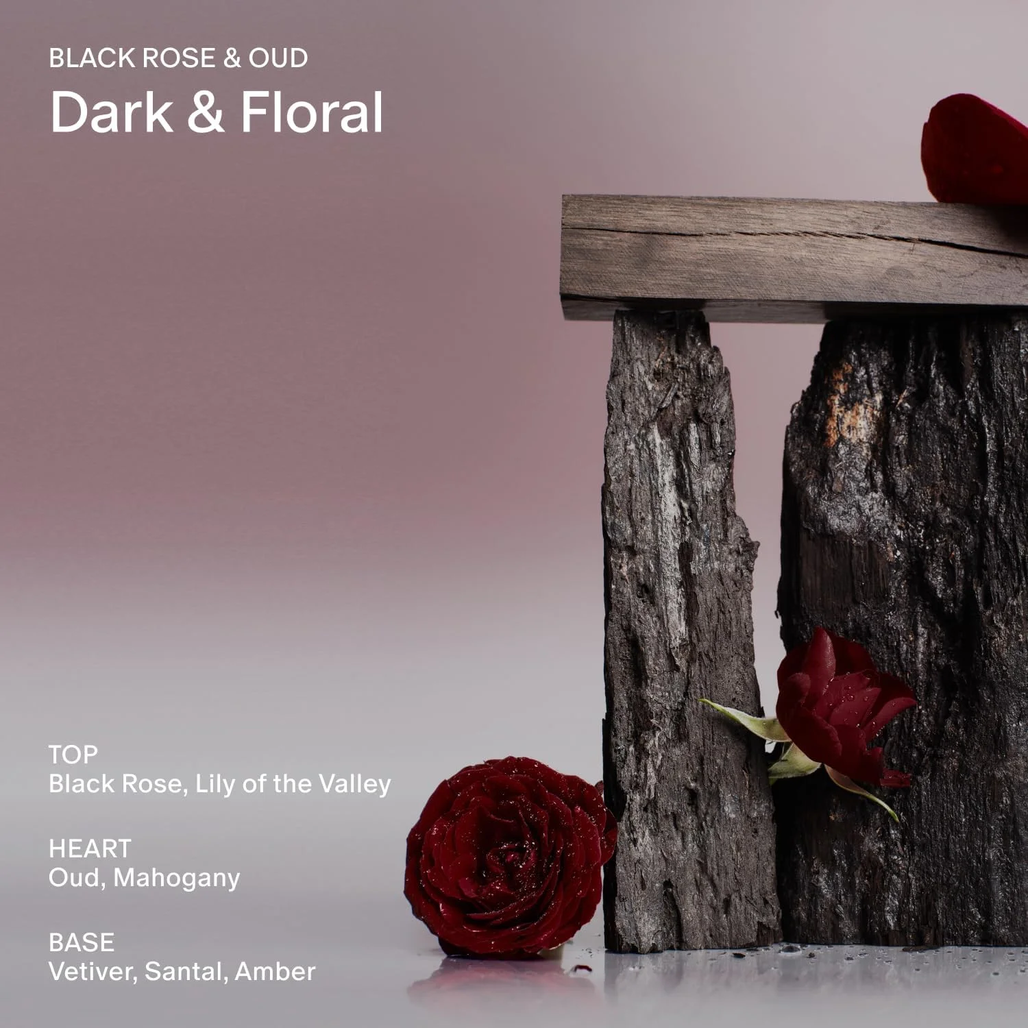 اسپری بدن سالت اند استون، رایحه رز سیاه و عود، عطر آغشته به مراقبت پوست، اسپری مو و بدن برای زنان و مردان، رایحه آبرسان با گلیسیرین و جلبک قرمز، وگان، بدون تست حیوانی، 100 میلی لیتر