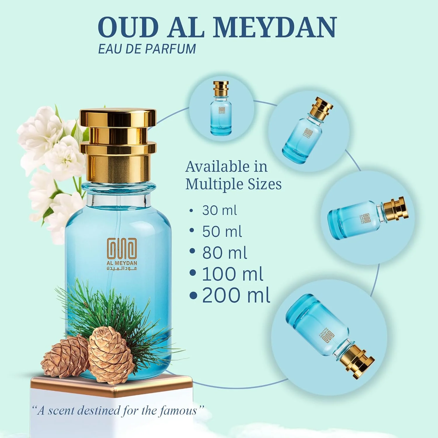 عطر روغنی عود المیدان زنانه – الهام گرفته از شانس ای فرش – عطر روغنی بدون الکل با رایحه های لیمو، یاس و مشک – ماندگاری طولانی، رایحه ای تازه، ظریف و پرانرژی (100 میلی لیتر)