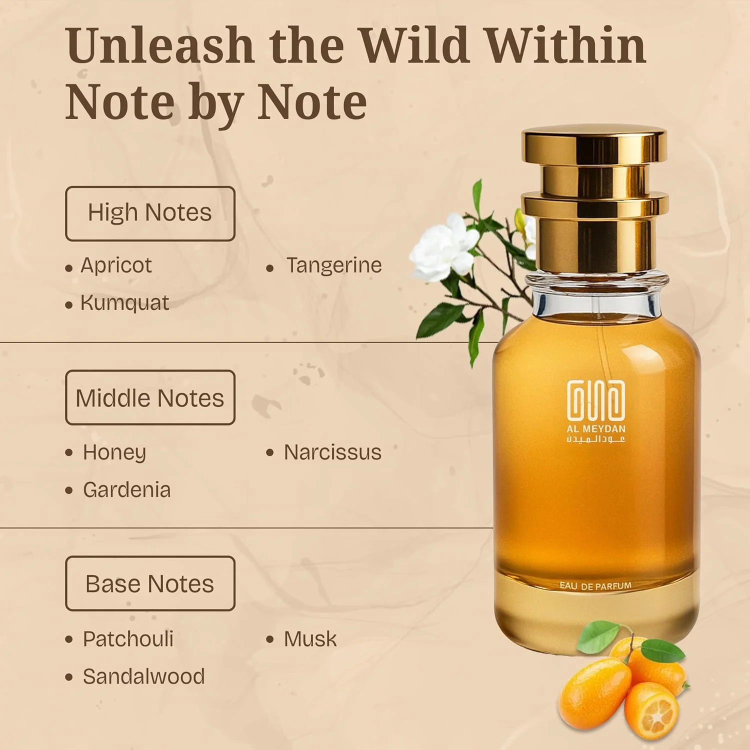 عطر روغنی عود المیدان زنانه – مشابه رایحه ایفوریا گلدن – عطر روغنی میوه ای و گلی بدون الکل با رایحه زردآلو، عسل و چوب صندل – ماندگاری طولانی 8 تا 10 ساعت (30 میلی لیتر)