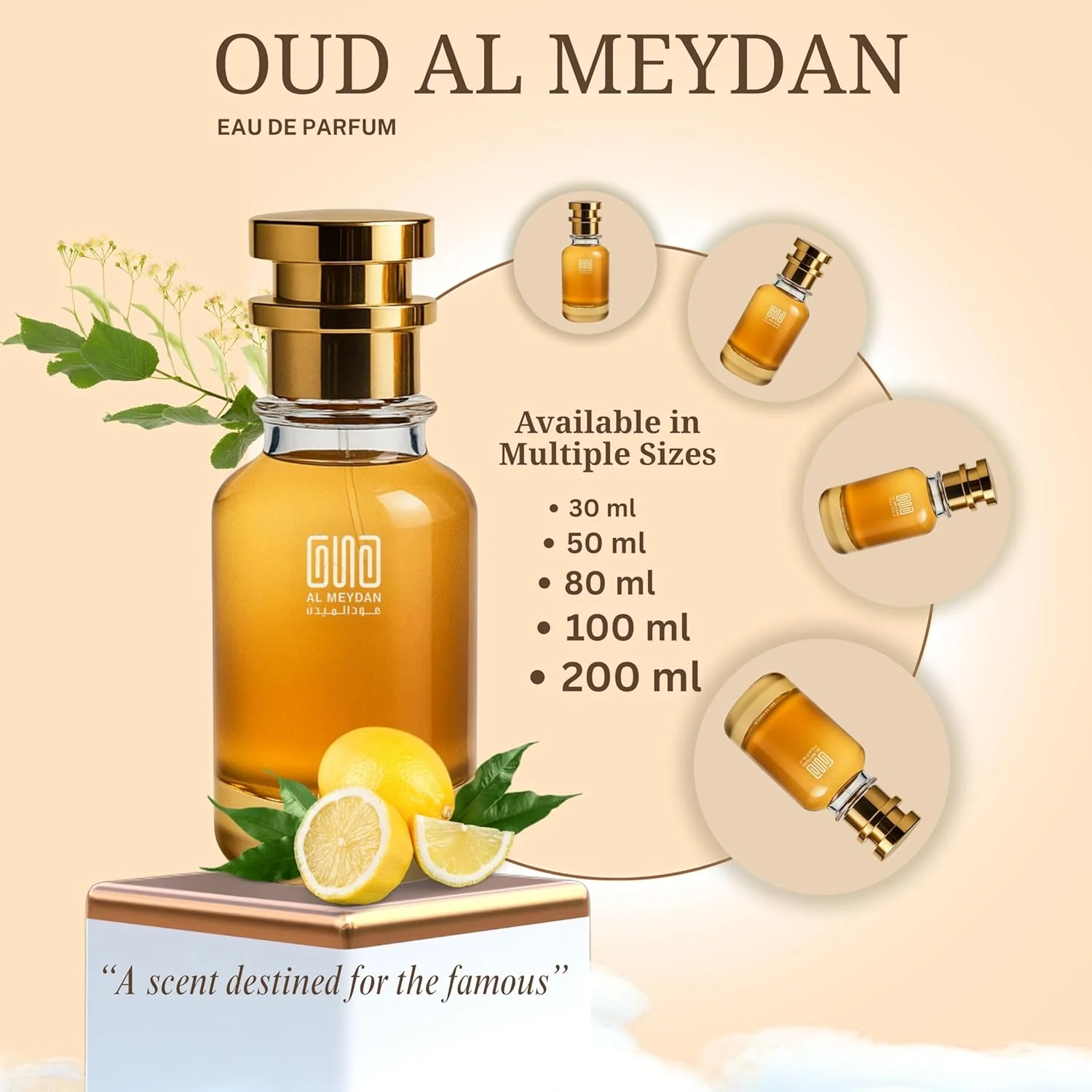 عطر روغنی عود المیدان مناسب آقایان و بانوان – Tiliia Marcc-Antoinee – بدون الکل، ماندگاری طولانی بیش از 10 ساعت، رایحه گلی چوبی زرد با شکوفه لیندن، یاس، شکوفه پرتقال و وتیور (30 میلی لیتر)