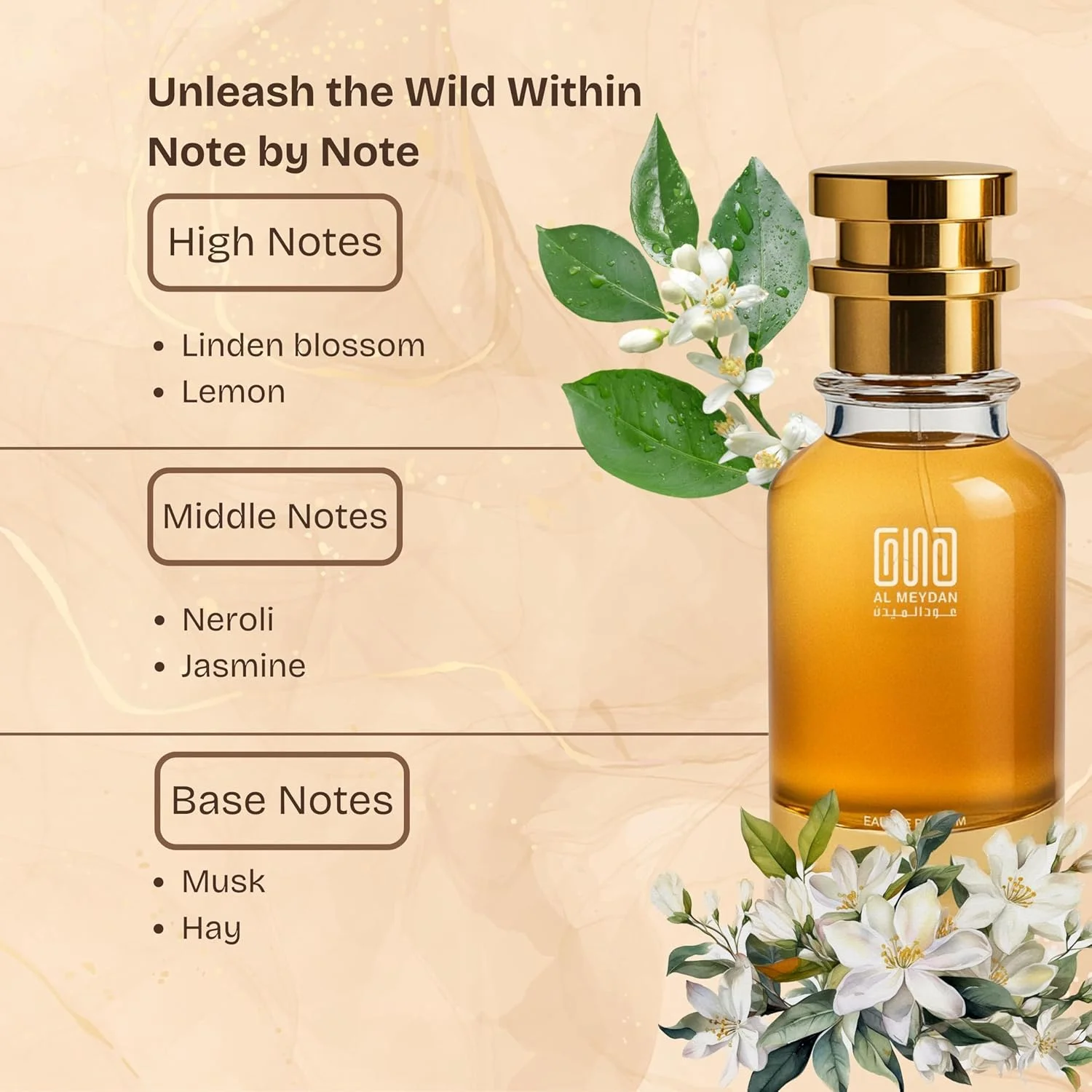 عطر روغنی عود المیدان مناسب آقایان و بانوان – Tiliia Marcc-Antoinee – بدون الکل، ماندگاری طولانی بیش از 10 ساعت، رایحه گلی چوبی زرد با شکوفه لیندن، یاس، شکوفه پرتقال و وتیور (30 میلی لیتر)