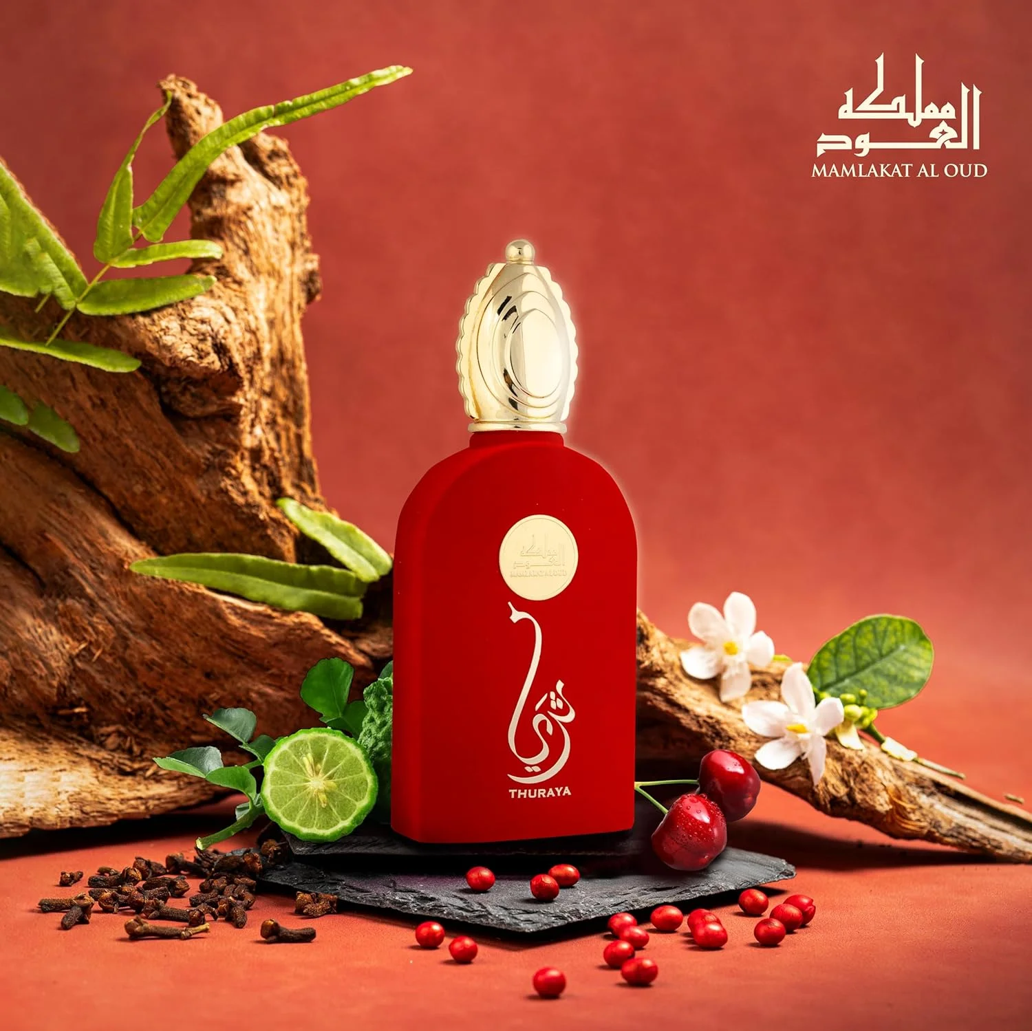 ثریا از مملکت العود | رایحه ای ظریف گلی میوه ای با گلابی، گل مریم و چوب صندل | ادو پرفیوم زنانه - 100 میلی لیتر