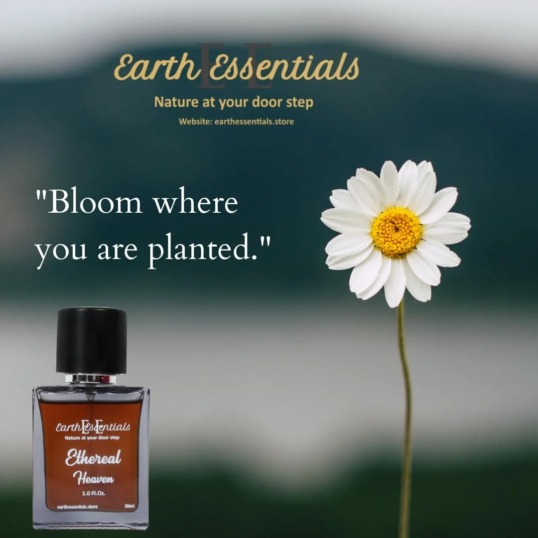 عطر اثیری Earth Essentials، رایحه گلی طبیعی ماندگار برای بدن، عطر تازه و معطر، مناسب استفاده روزمره، عطر یونیسکس ایده آل برای مردان و زنان، اسپری ادو پرفیوم لوکس 30 میلی لیتر، بسته 1 عددی