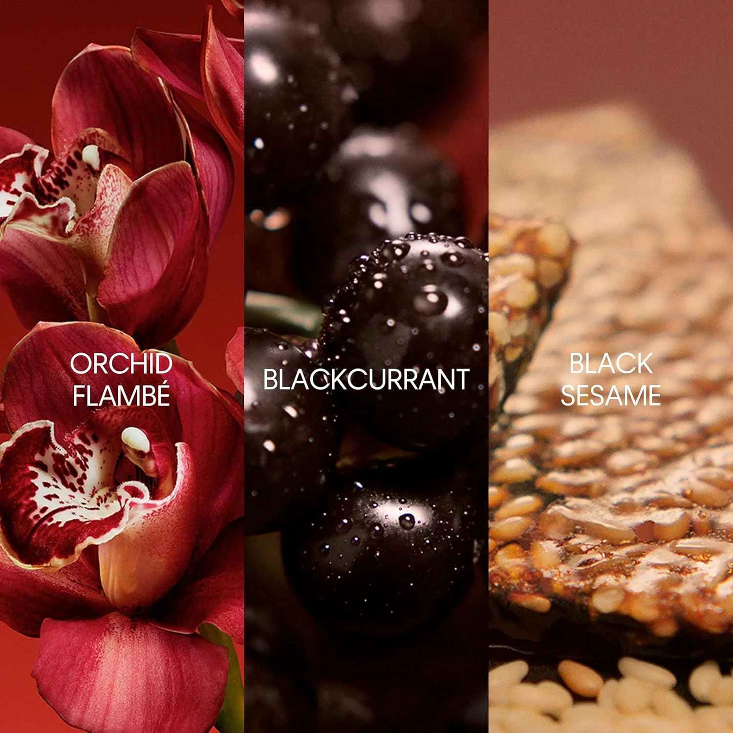 عطر ادو پرفیوم زنانه کلوین کلاین مدل My Euphoria حجم 50 میلی لیتر عطر ادو پرفیوم زنانه کلوین کلاین مدل My Euphoria حجم 50 میلی لیتر