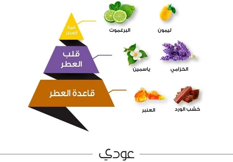 عطر عودی الماجد برای عود، 50 میلی لیتر عطر عودی الماجد برای عود، 50 میلی لیتر