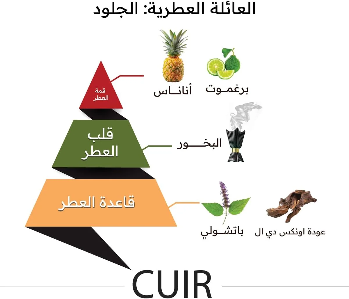 عطر آلماجد للعود کویر унисекс 150 میلی لیتر
