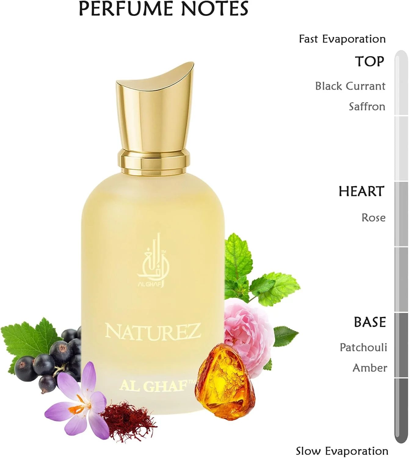 ادو پرفیوم Naturez از الغاف، 100 میلی لیتر، عطر لوکس ماندگار унисекс با رایحه انگور فرنگی سیاه، رز و عنبر، عطری شیک برای مردان و زنان، هدیه ای ایده آل برای هر مناسبت