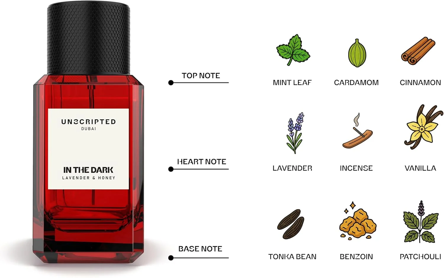 ادو پرفیوم مردانه آن اسکریپتد دبی این د دارک، رایحه اسطوخودوس و عسل با نت های نعناع، ادویه و وانیل