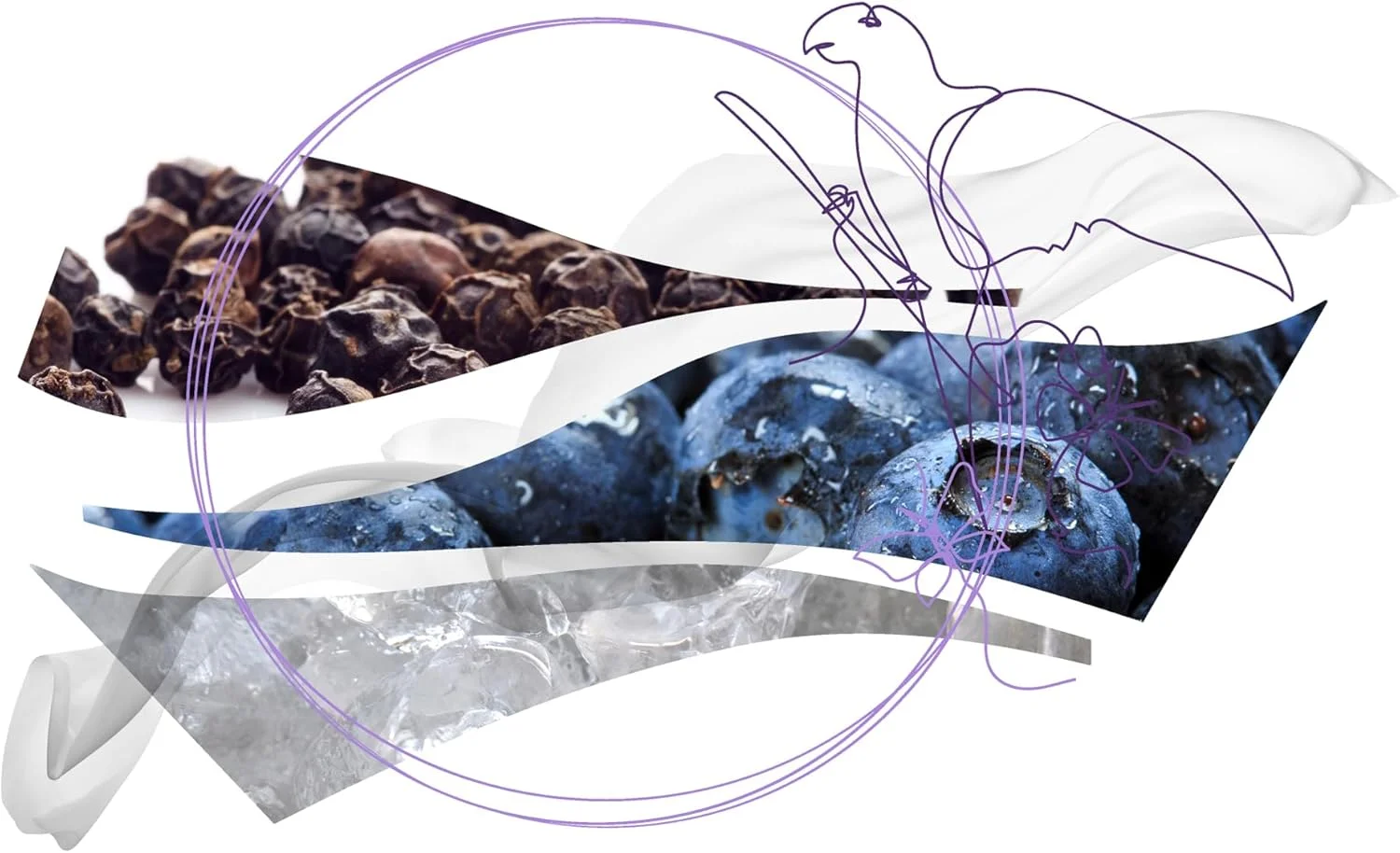 ادو پرفیوم سالواتوره فراگامو CIELI DI SETA حجم 100 میلی لیتر