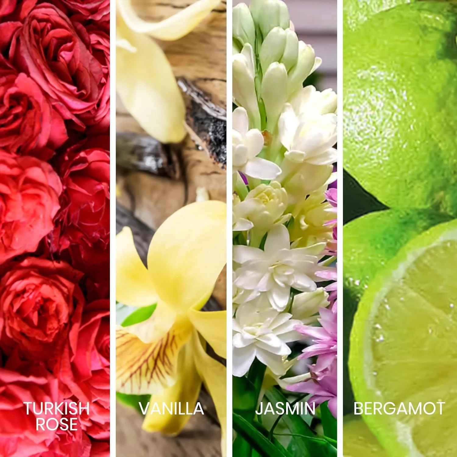 ادو پرفیوم زنانه ساپیل مدل Joy حجم 100 میلی لیتر ادو پرفیوم زنانه ساپیل مدل Joy حجم 100 میلی لیتر