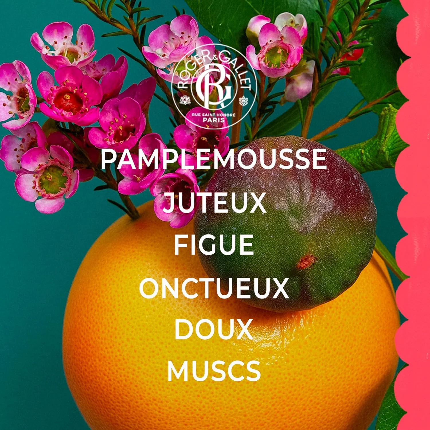 ROGER & GALLET | اسپری بدن معطر زنانه | Fleur De Figuier - شکوفه انجیر 30 میلی لیتر ROGER & GALLET | اسپری بدن معطر زنانه | Fleur De Figuier - شکوفه انجیر 30 میلی لیتر
