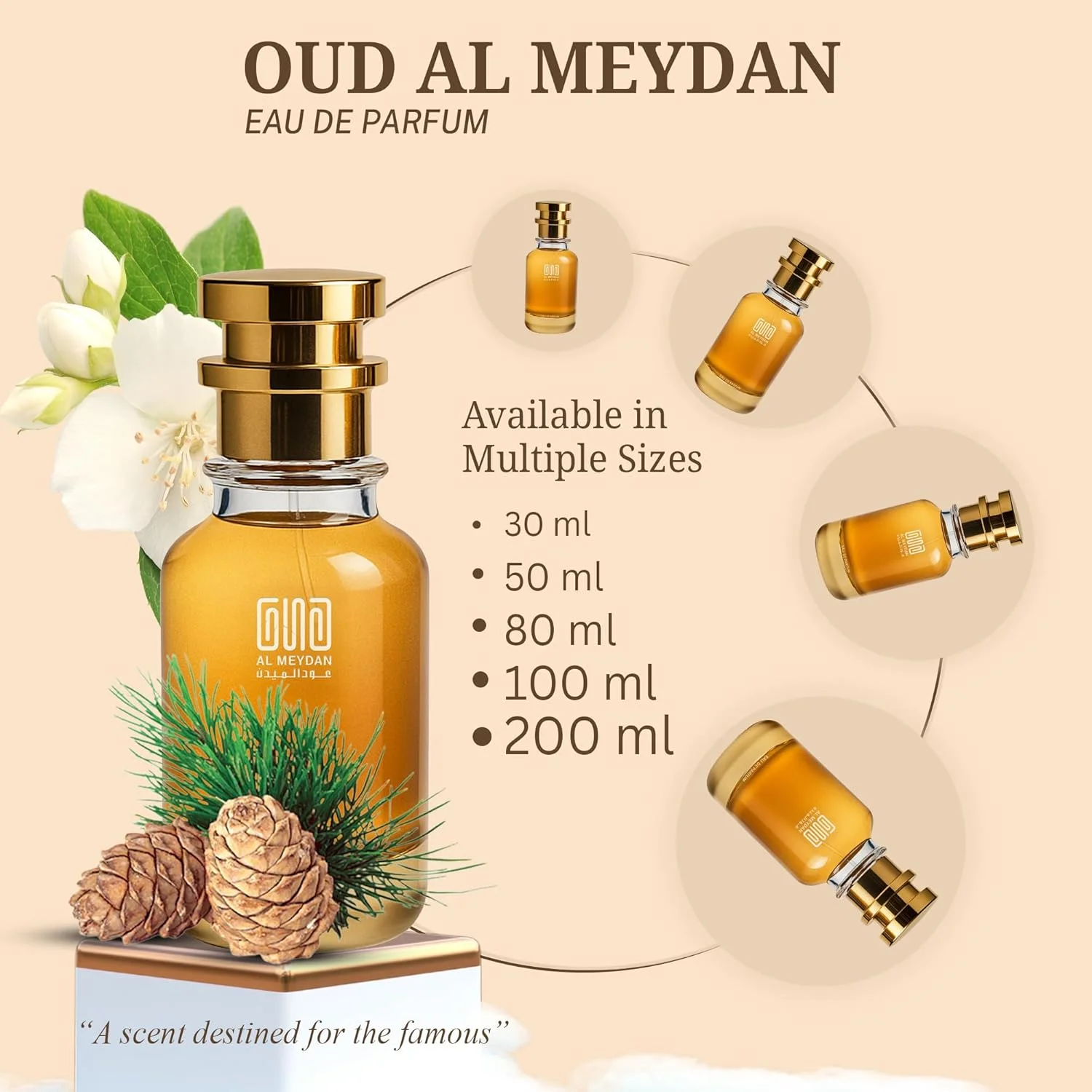 عطر روغنی زنانه عود المیدان – الهام گرفته از لیبری – عطر روغنی بدون الکل با رایحه اسطوخودوس، یاس و وانیل – ماندگاری طولانی، جسورانه و زنانه (50 میلی لیتر) عطر روغنی زنانه عود المیدان – الهام گرفته از لیبری – عطر روغنی بدون الکل با رایحه اسطوخودوس، یاس و وانیل – ماندگاری طولانی، جسورانه و زنانه (50 میلی لیتر)