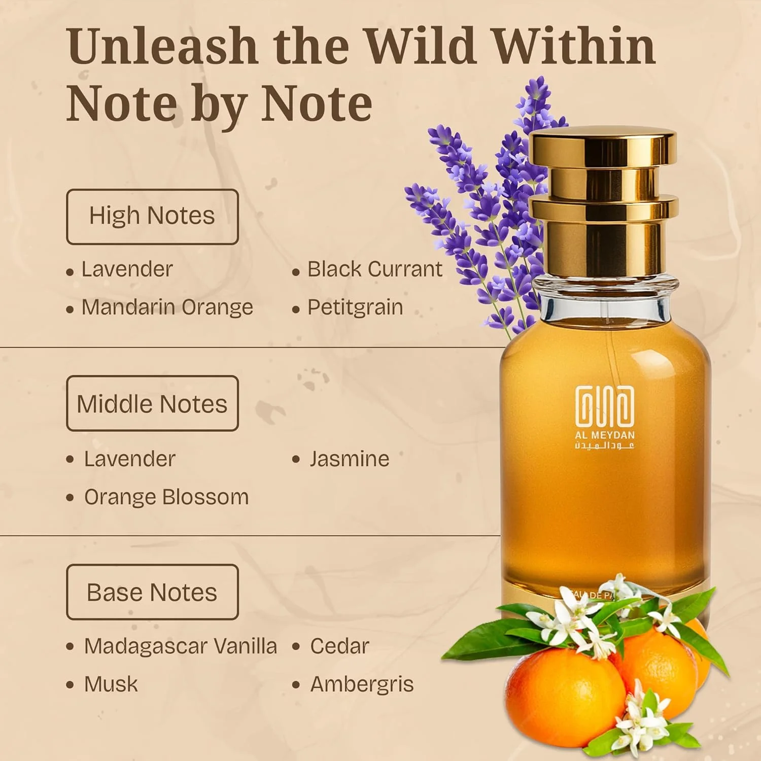 عطر روغنی زنانه عود المیدان – الهام گرفته از لیبری – عطر روغنی بدون الکل با رایحه اسطوخودوس، یاس و وانیل – ماندگاری طولانی، جسورانه و زنانه (50 میلی لیتر) عطر روغنی زنانه عود المیدان – الهام گرفته از لیبری – عطر روغنی بدون الکل با رایحه اسطوخودوس، یاس و وانیل – ماندگاری طولانی، جسورانه و زنانه (50 میلی لیتر)