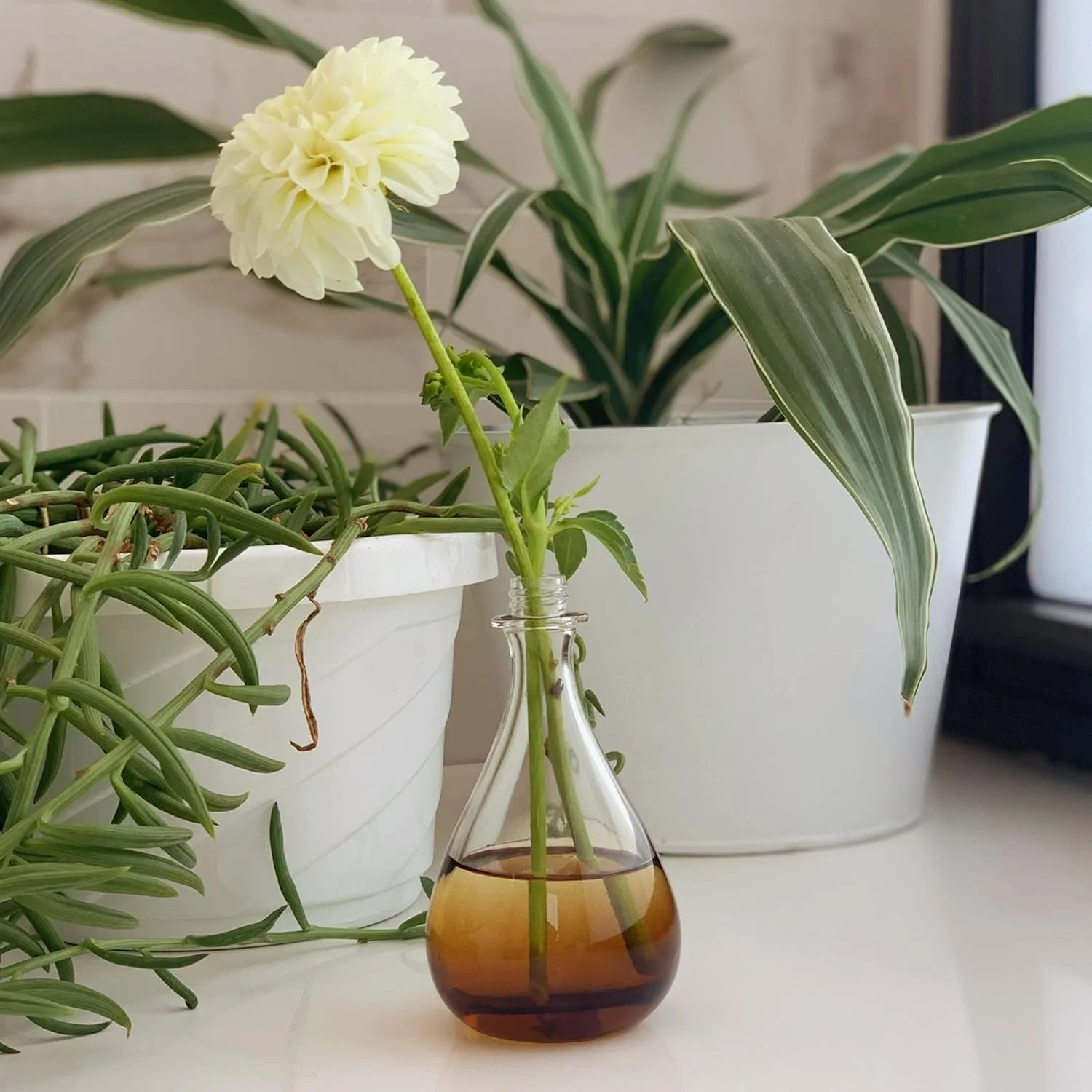 اسپری خوشبو کننده بدن ESSCENTIALS مدل In The Mood - رایحه ای زیبا و سبک از طبیعت - اسپری وگان و غیر سمی با رایحه گل یاس و مشک گرم - 60 میلی لیتر اسپری خوشبو کننده بدن ESSCENTIALS مدل In The Mood - رایحه ای زیبا و سبک از طبیعت - اسپری وگان و غیر سمی با رایحه گل یاس و مشک گرم - 60 میلی لیتر