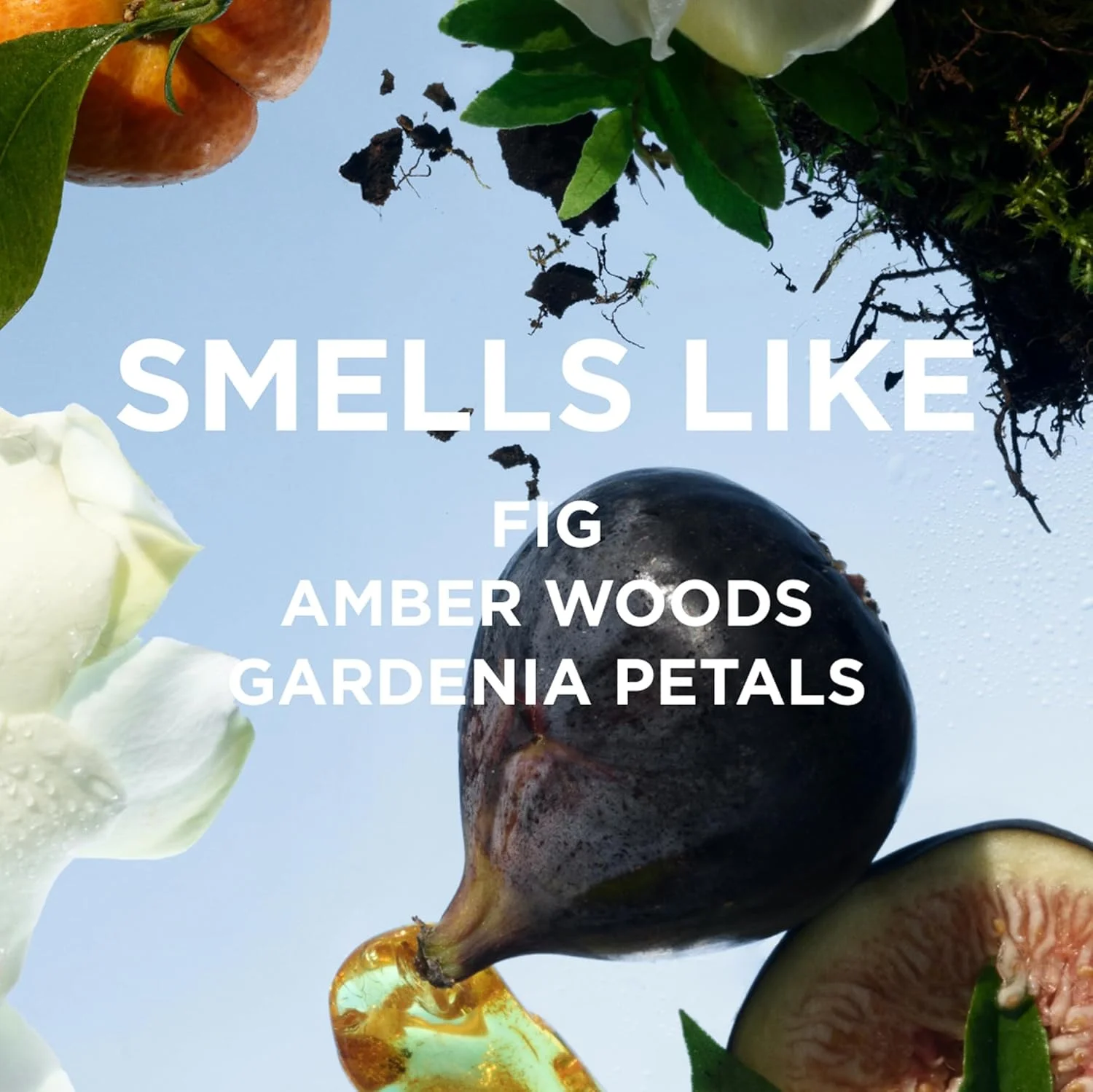 عطر رولی روغنی بای رزی جین - بدون پارابن، وگان، بدون تست حیوانی، بدون فتالات، عطر پاکیزه برای زنان - انجیر، کهربا، گاردنیا (جیمز - 5 میلی لیتر) عطر رولی روغنی بای رزی جین - بدون پارابن، وگان، بدون تست حیوانی، بدون فتالات، عطر پاکیزه برای زنان - انجیر، کهربا، گاردنیا (جیمز - 5 میلی لیتر)