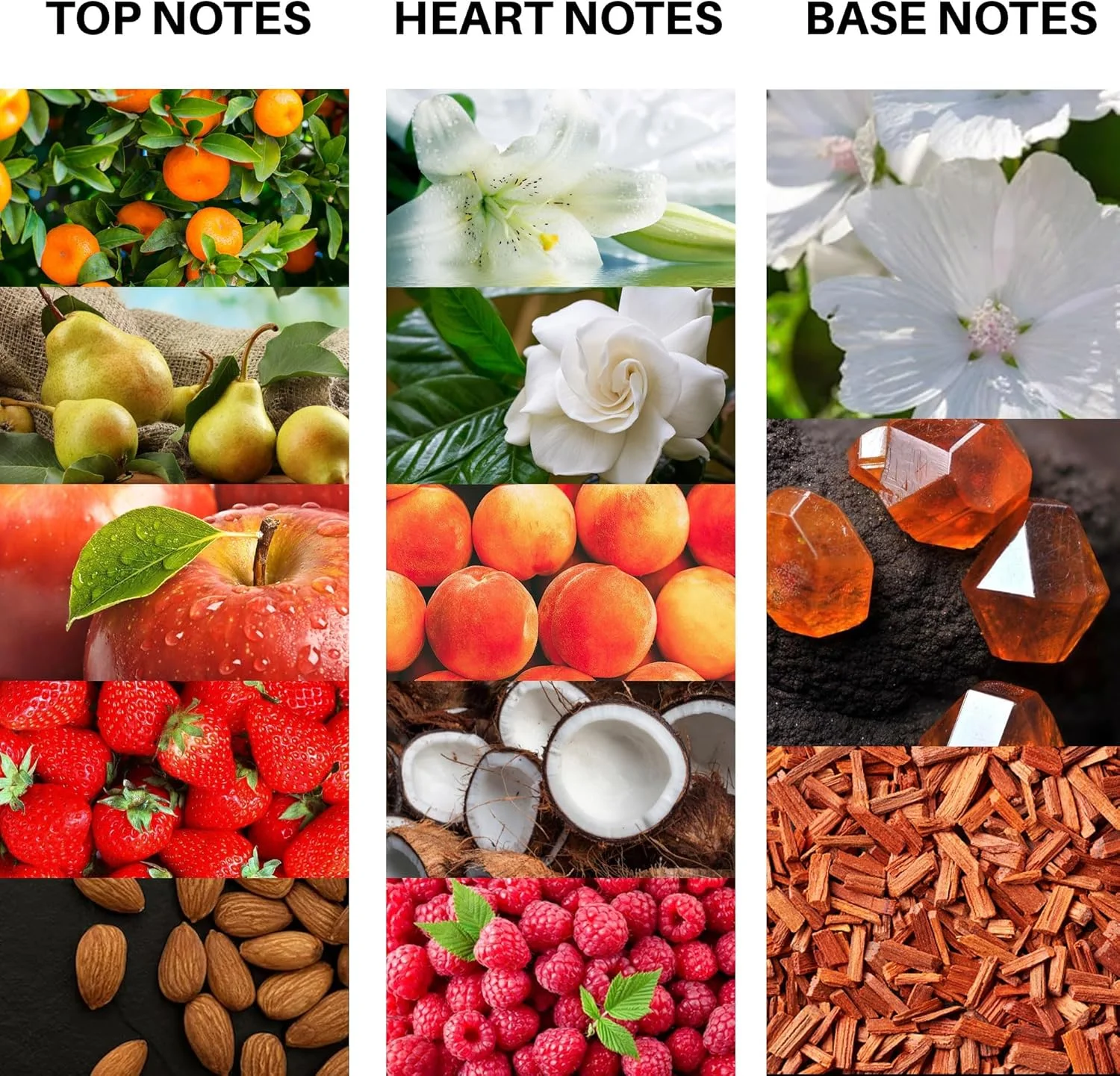 آتلانتیک قرمز زرشکی - عطر زنانه - ادو پرفیوم ماندگار 100 میلی لیتری برای بانوان - بهترین هدیه برای او، عطر زنانه ممتاز آتلانتیک قرمز زرشکی - عطر زنانه - ادو پرفیوم ماندگار 100 میلی لیتری برای بانوان - بهترین هدیه برای او، عطر زنانه ممتاز