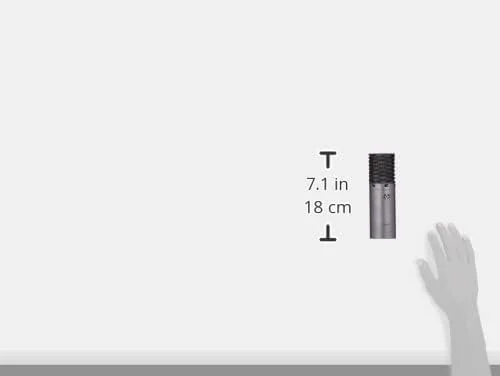 Multi-Pattern Condenser Microphone Multi-Pattern Condenser Microphone