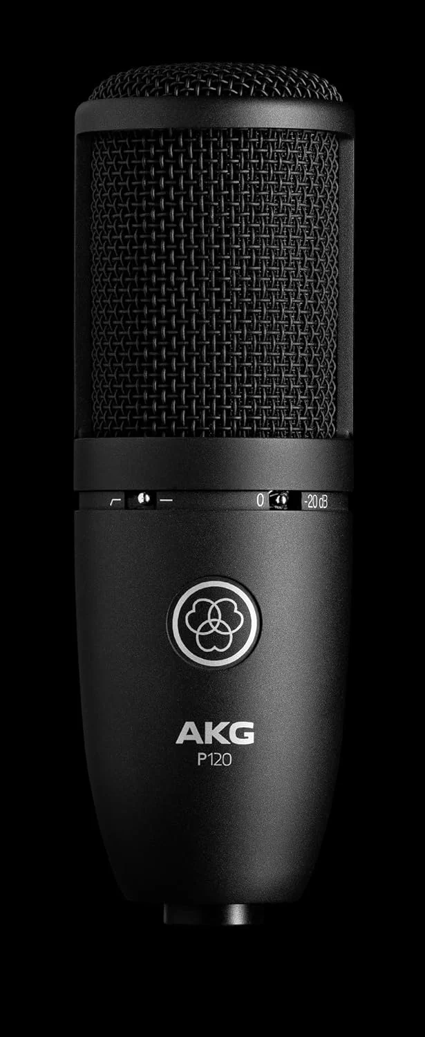 میکروفون ضبط چند منظوره با کارایی بالا AKG P120، کیفیت استودیویی، دیافراگم بزرگ، بسیار متنوع، طراحی مستحکم و قوی، مشکی میکروفون ضبط چند منظوره با کارایی بالا AKG P120، کیفیت استودیویی، دیافراگم بزرگ، بسیار متنوع، طراحی مستحکم و قوی، مشکی