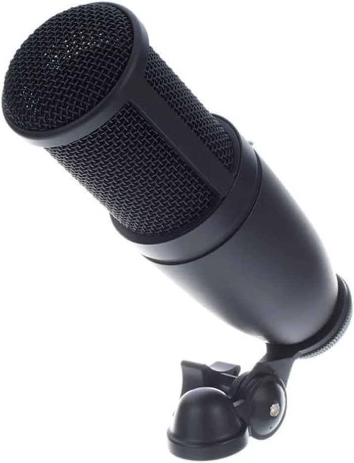 میکروفون ضبط چند منظوره با کارایی بالا AKG P120، کیفیت استودیویی، دیافراگم بزرگ، بسیار متنوع، طراحی مستحکم و قوی، مشکی میکروفون ضبط چند منظوره با کارایی بالا AKG P120، کیفیت استودیویی، دیافراگم بزرگ، بسیار متنوع، طراحی مستحکم و قوی، مشکی