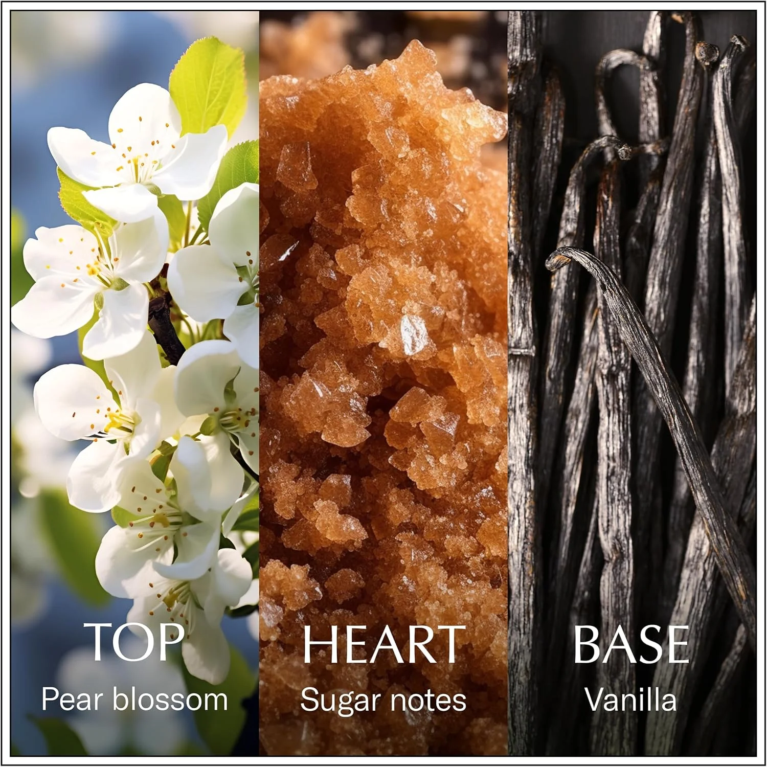 CHANSON D'EAU | Les Eaux du Monde | عطر گرم و دلنشین گورمند | ادو تویلت زنانه | وانیل، 100 میلی لیتر