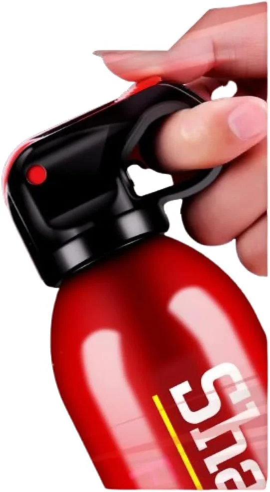 خاموش کننده آتش مه پاش آب قابل حمل برای خودرو، سایز مینی کلاس 21B، خاموش کننده سریع، ایده آل برای ایمنی خودرو و استفاده اضطراری