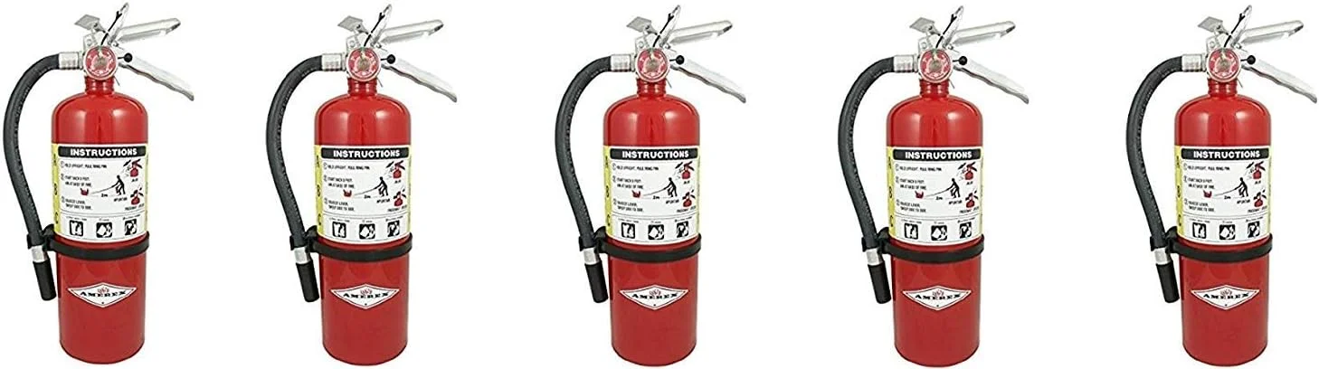 مجموعه 5 عددی خاموش کننده آتش آمِرِکس مدل B402، پودر شیمیایی خشک ABC با وزن 5 پوند، مناسب برای آتش سوزی های کلاس A، B و C، به همراه بست دیواری