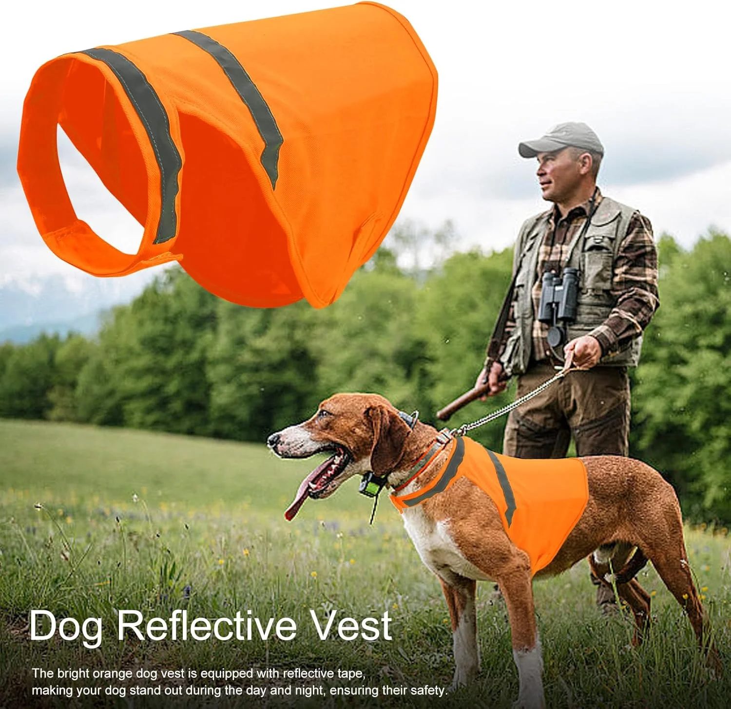 جلیقه ایمنی سگ | جلیقه دید سگ تنفسی فلورسنت قابل تنظیم نارنجی، لوازم حیوانات خانگی راحت برای شکار فعالیت های در فضای باز آموزش شکار جلیقه ایمنی سگ | جلیقه دید سگ تنفسی فلورسنت قابل تنظیم نارنجی، لوازم حیوانات خانگی راحت برای شکار فعالیت های در فضای باز آموزش شکار