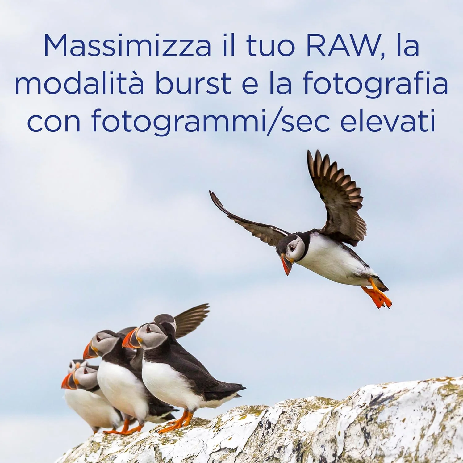 کارت حافظه 512 گیگابایتی Integral CFast 2.0 با عملکرد بالا، سرعت خواندن تا 550 مگابایت بر ثانیه و سرعت نوشتن تا 540 مگابایت بر ثانیه