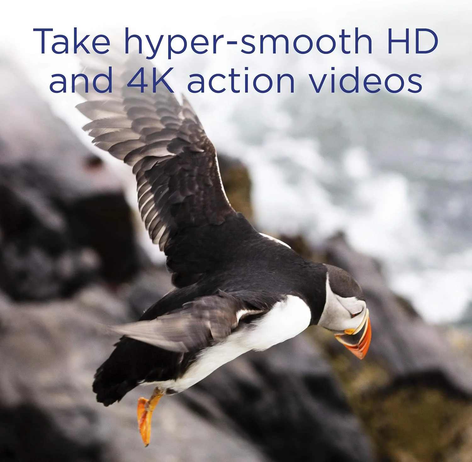 کارت حافظه کامپکت فلش 256 گیگابایتی اینتگرال UDMA-7 سرعت 1066x سرعت خواندن 160 مگابایت بر ثانیه و نوشتن 135 مگابایت بر ثانیه کارت حرفه ای پرسرعت کارت حافظه کامپکت فلش 256 گیگابایتی اینتگرال UDMA-7 سرعت 1066x سرعت خواندن 160 مگابایت بر ثانیه و نوشتن 135 مگابایت بر ثانیه کارت حرفه ای پرسرعت