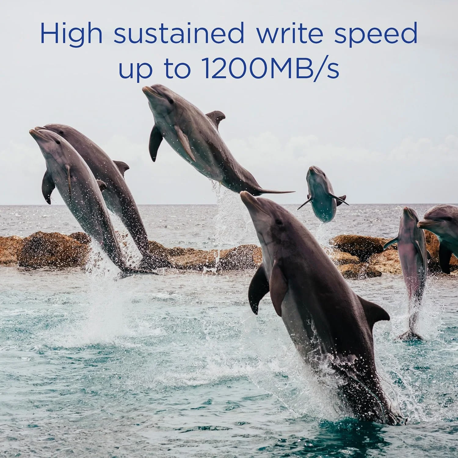 کارت حافظه 1 ترابایتی Integral CFexpress Type B 2.0 مناسب برای فیلمبرداری 12K و 8K RAW و 8K با سرعت 120 فریم بر ثانیه، سرعت خواندن 1800 مگابایت بر ثانیه، سرعت نوشتن 1400 مگابایت بر ثانیه، سرعت نوشتن مداوم 1200 مگابایت بر ثانیه، طراحی شده برای دوربین های پیشرفته سینمایی و DSLR کارت حافظه 1 ترابایتی Integral CFexpress Type B 2.0 مناسب برای فیلمبرداری 12K و 8K RAW و 8K با سرعت 120 فریم بر ثانیه، سرعت خواندن 1800 مگابایت بر ثانیه، سرعت نوشتن 1400 مگابایت بر ثانیه، سرعت نوشتن مداوم 1200 مگابایت بر ثانیه، طراحی شده برای دوربین های پیشرفته سینمایی و DSLR